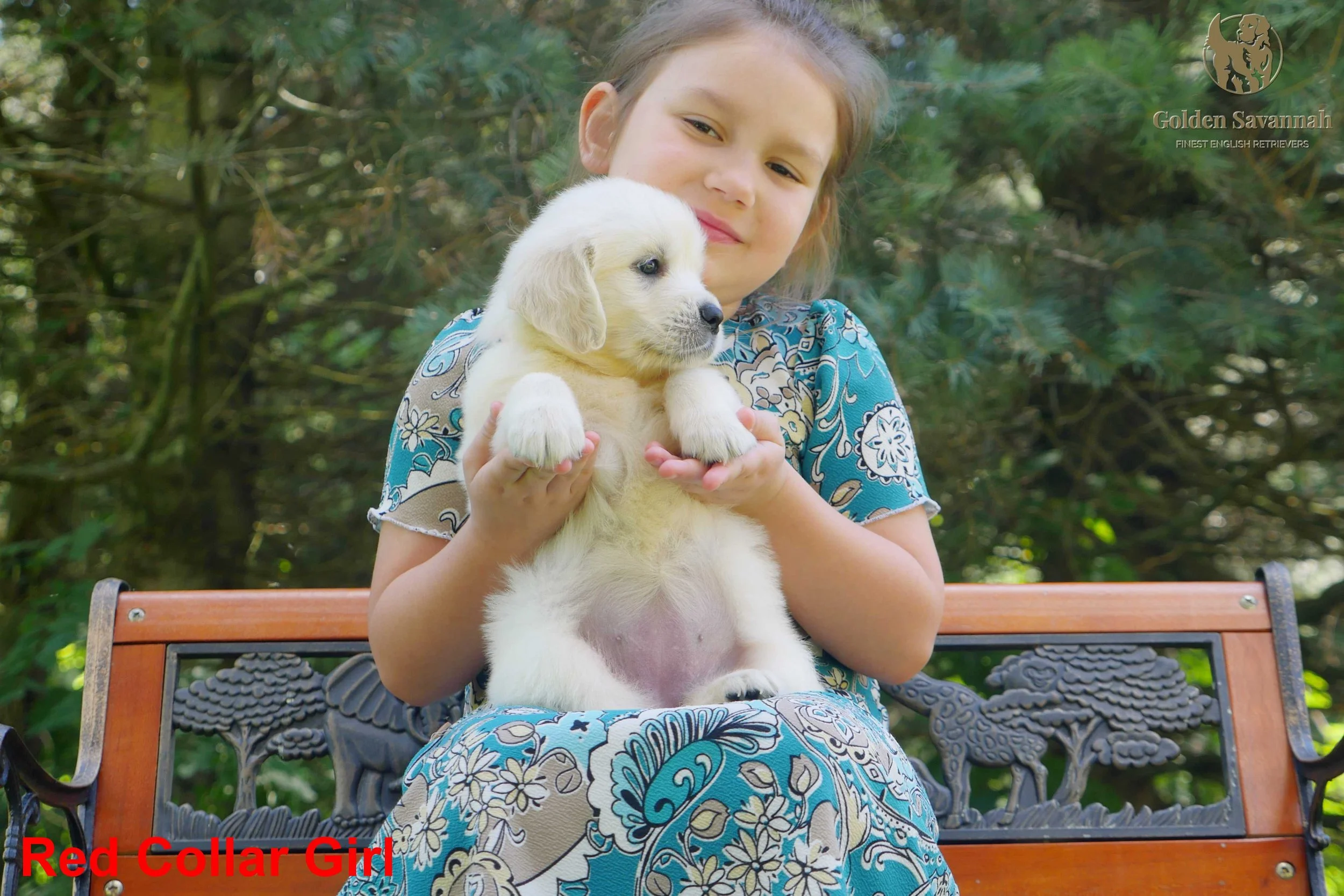 Red Collar Girl c.jpg