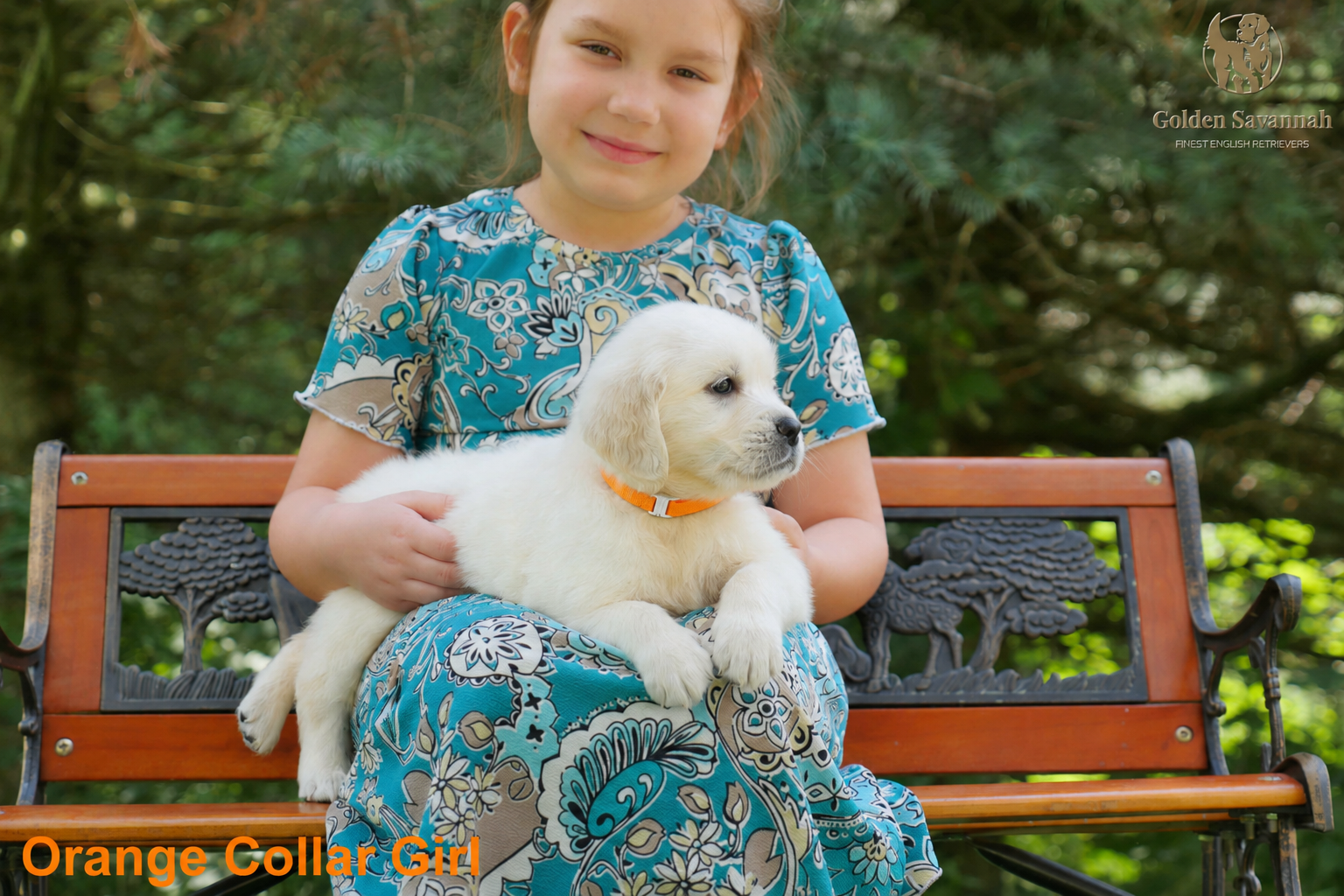 Orange collar girl a.png