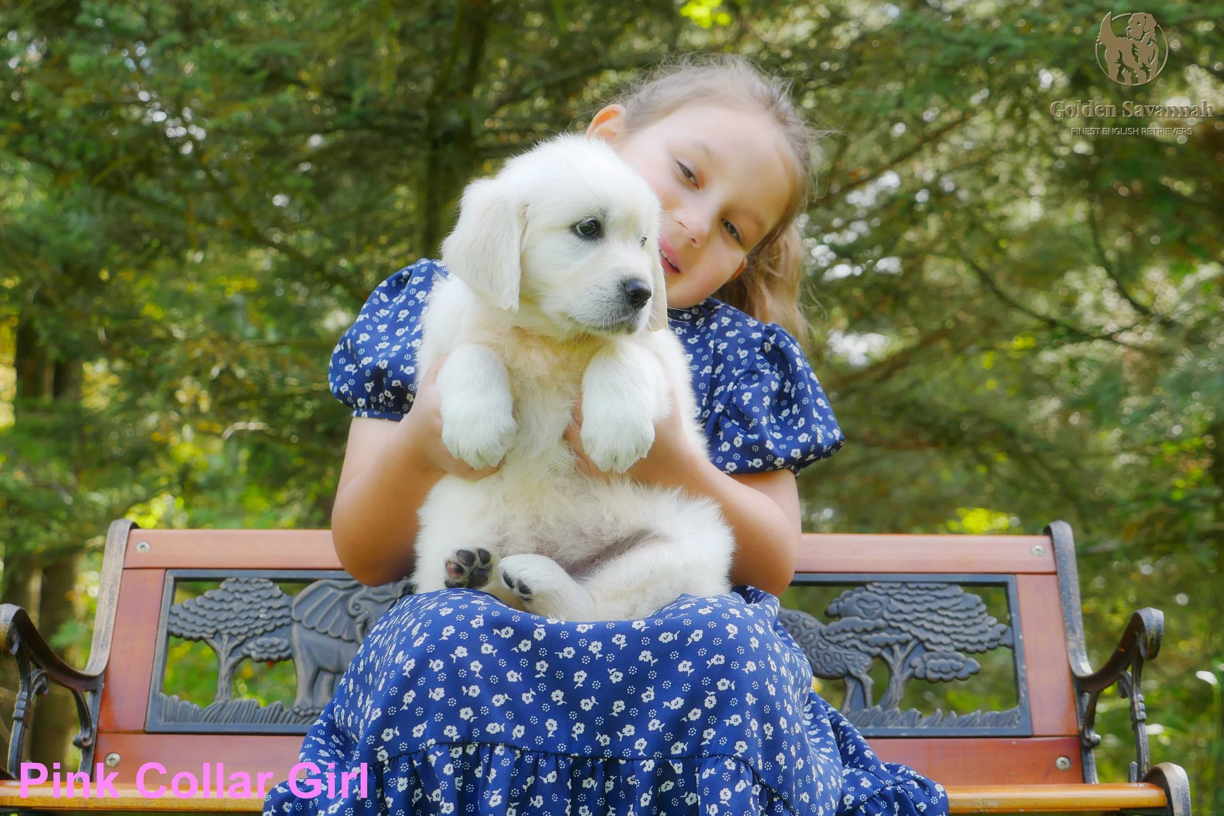 Pink Collar Girl a.jpg