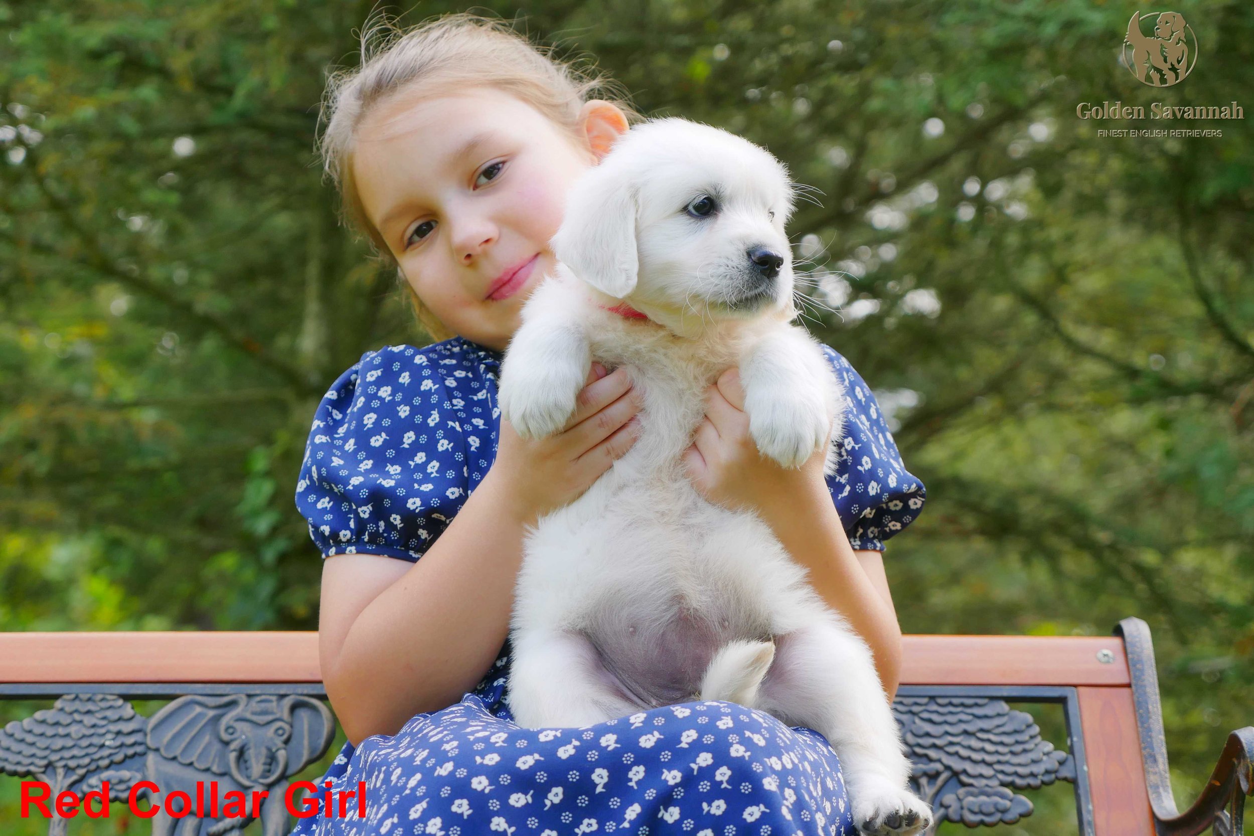 Red Collar Girl a.jpg