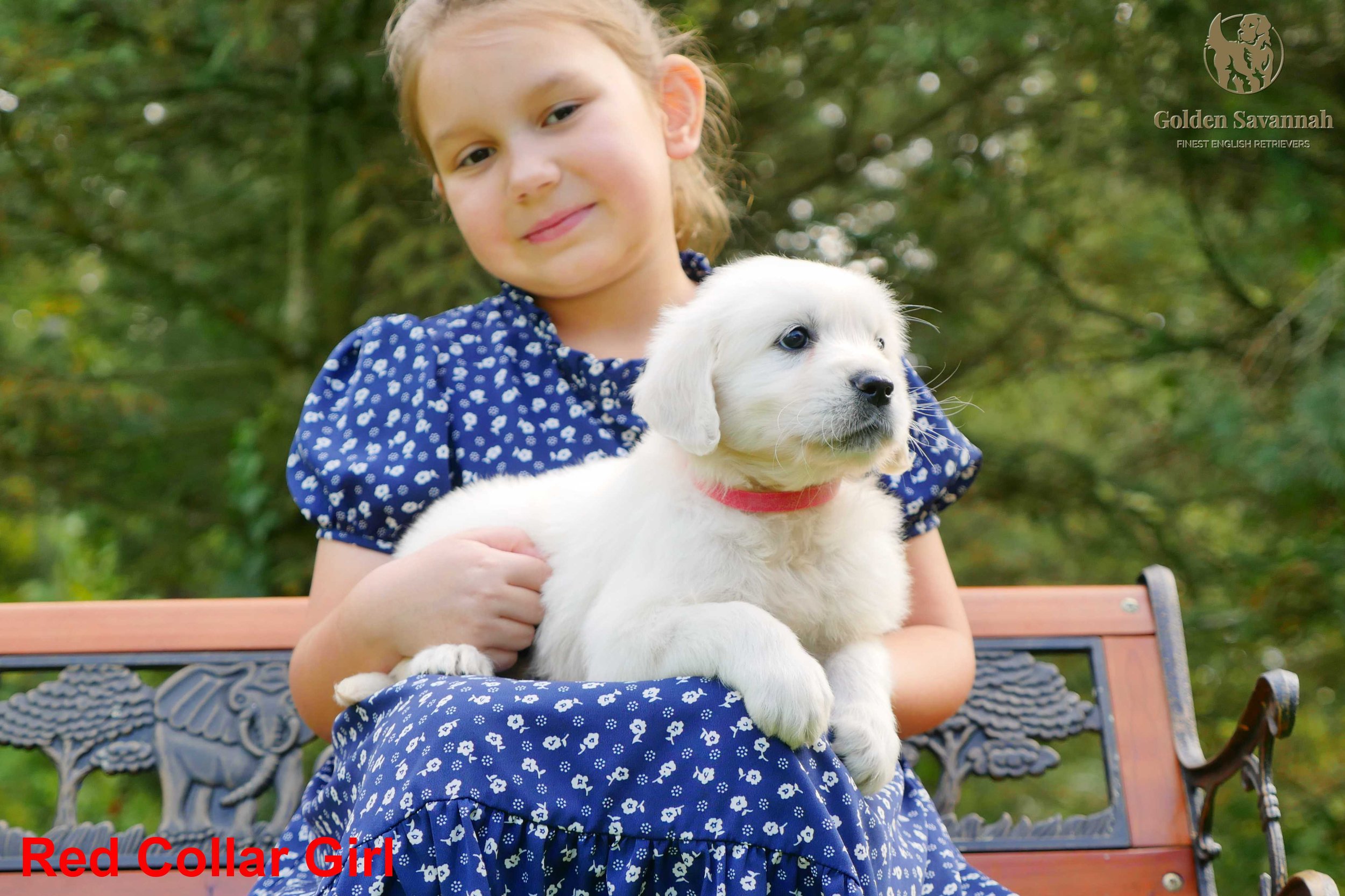 Red Collar Girl c.jpg