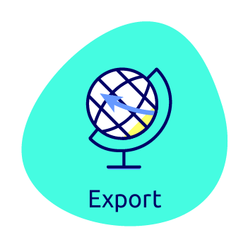 Waissels export icon