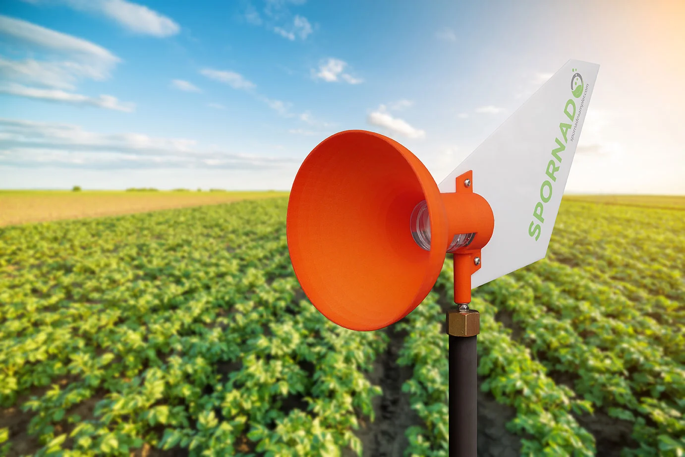 Potato_Field_w_Product-72ppi.jpg