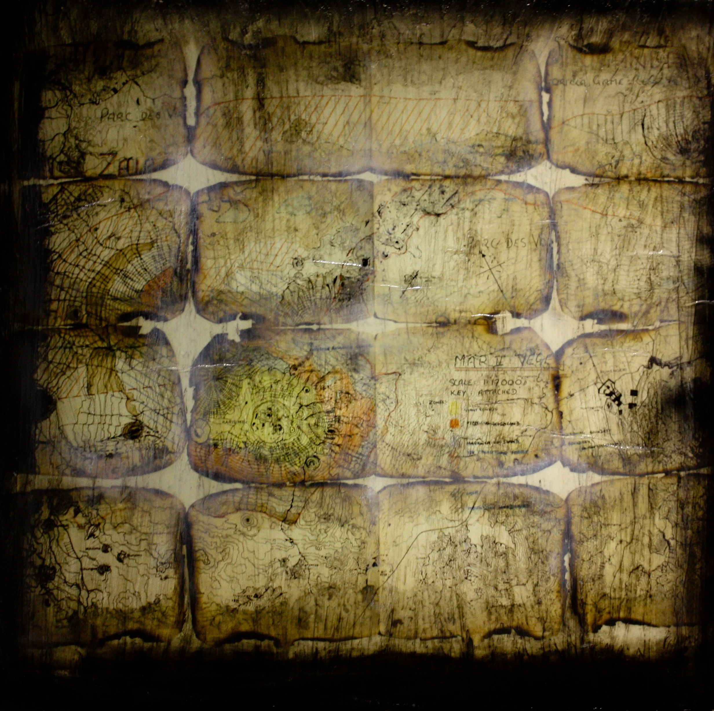Dian Fossey 3 - "Compass"