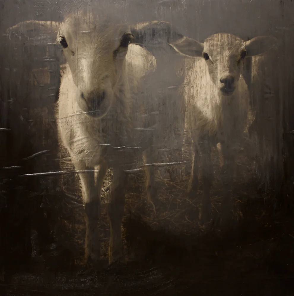 Equine &amp; Herd 3