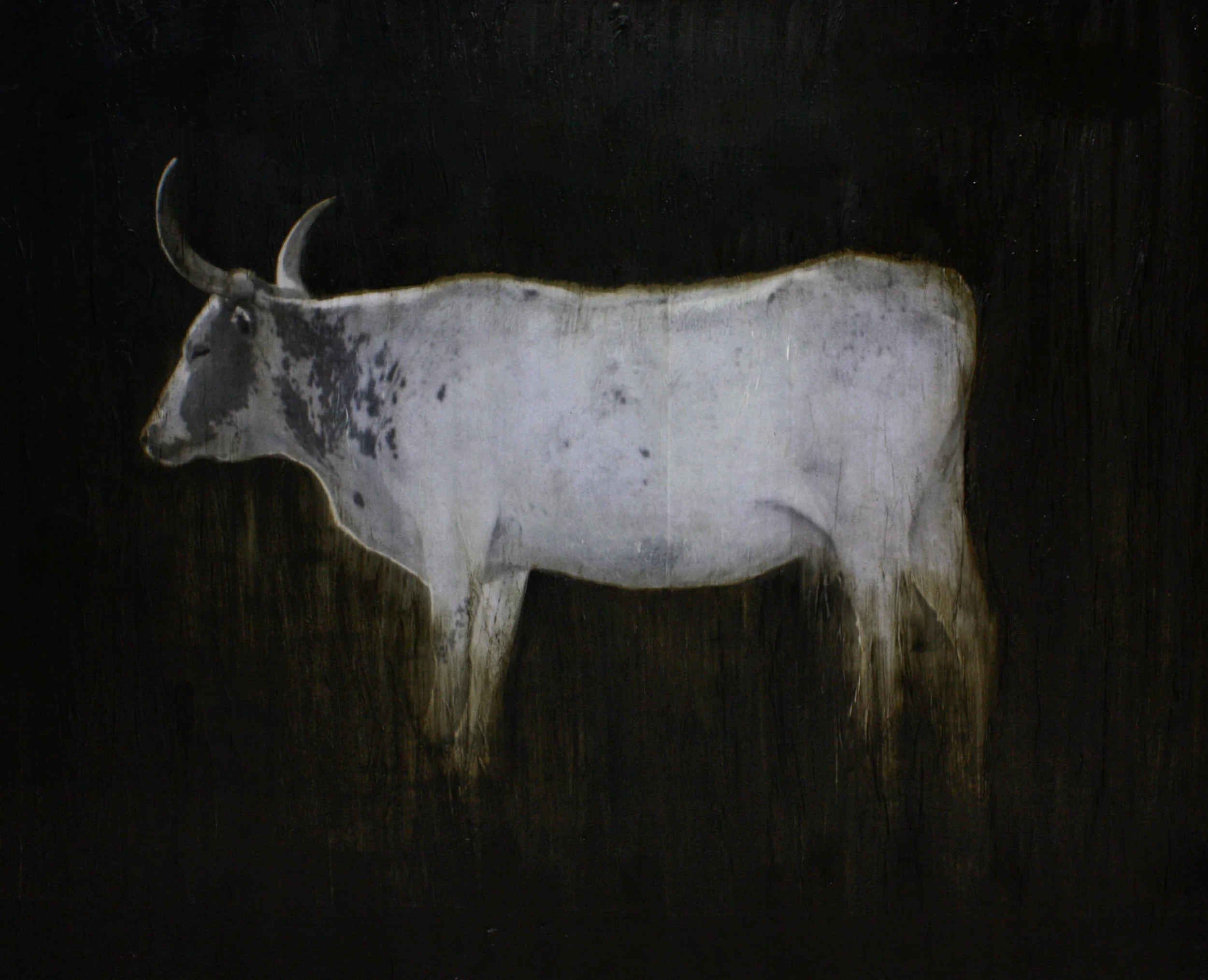 Equine &amp; Herd 7