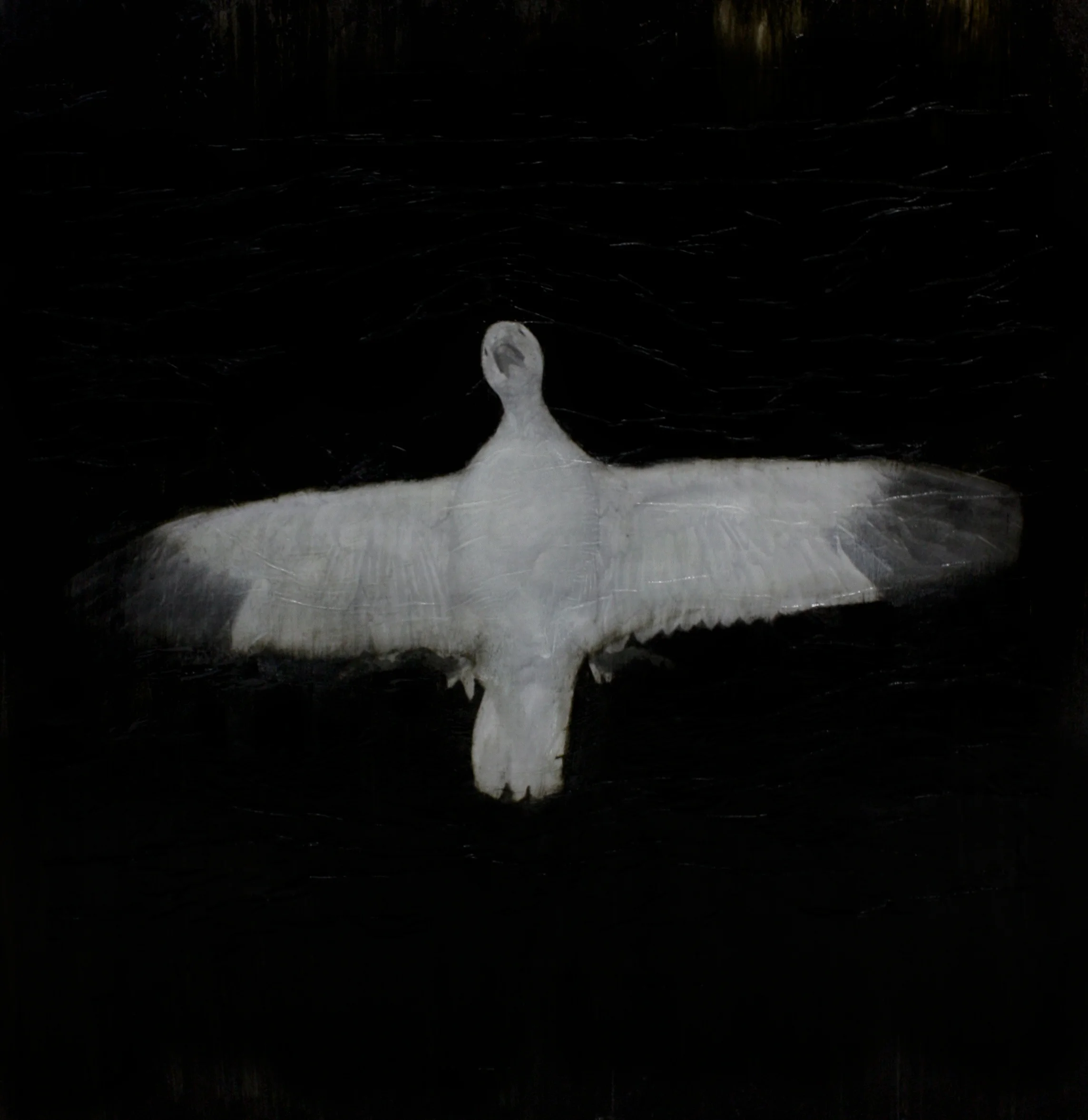 Winged 10
