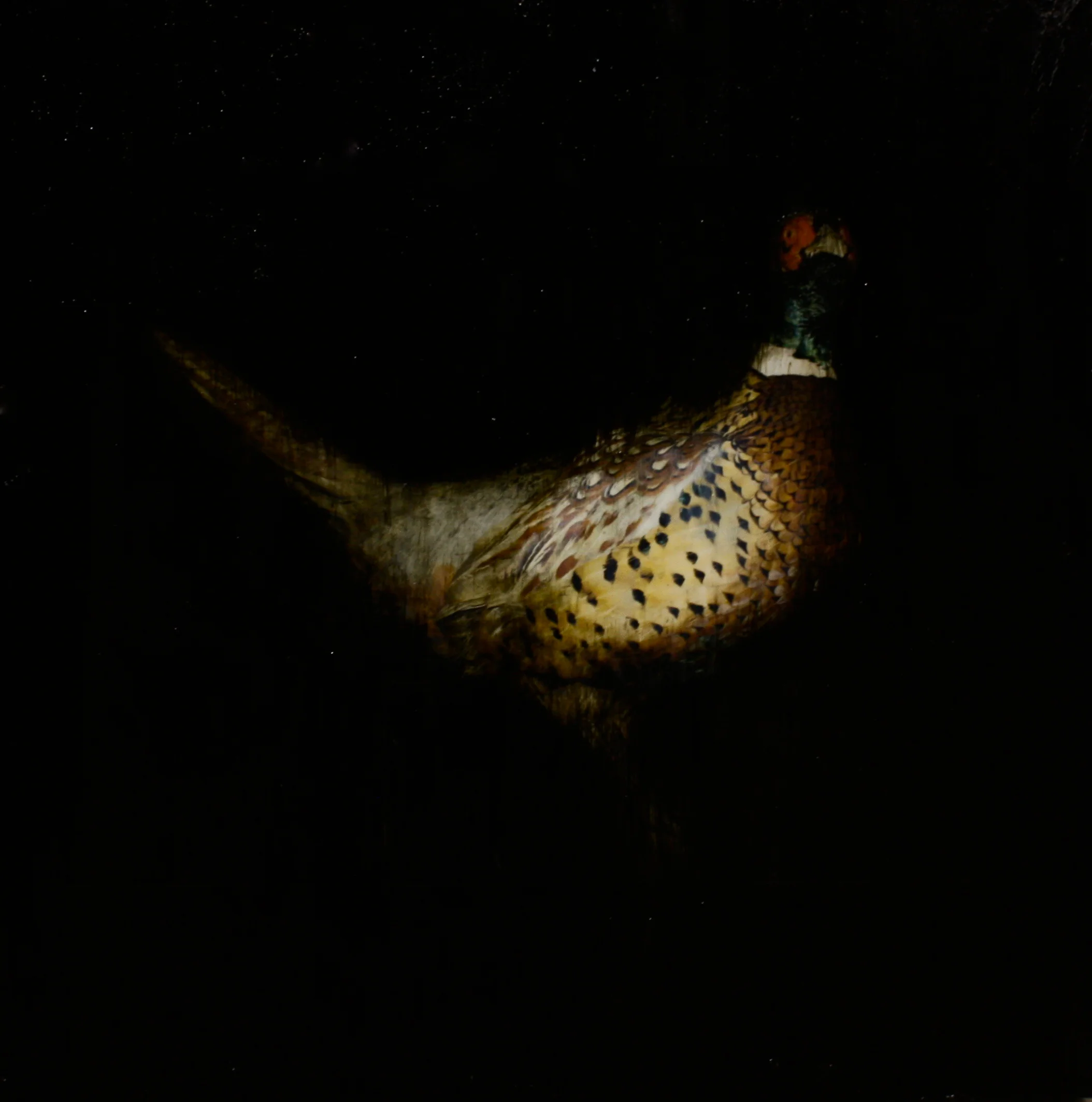 Winged 2