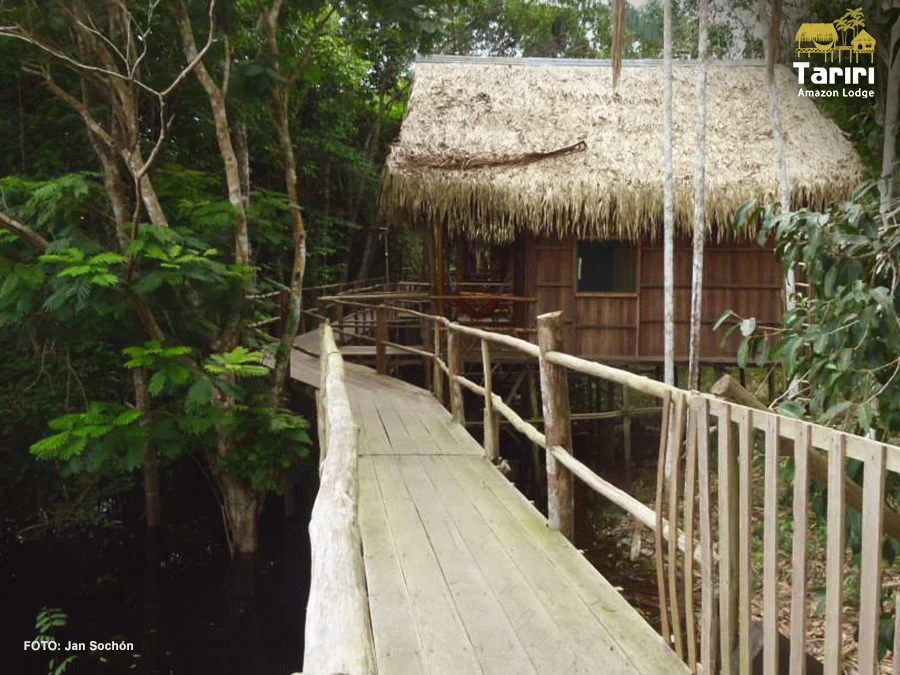 tariri bungalow.jpg