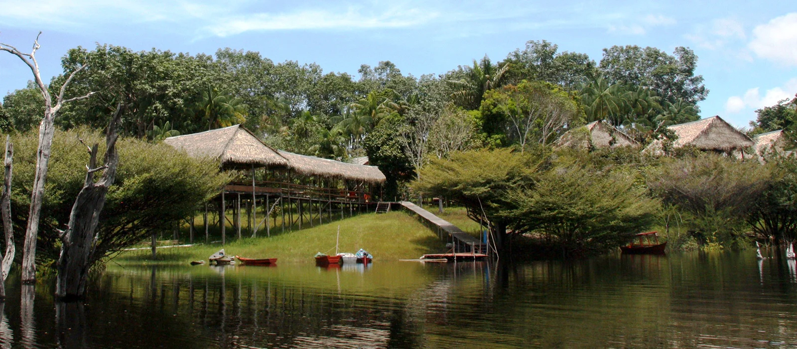 Tariri view