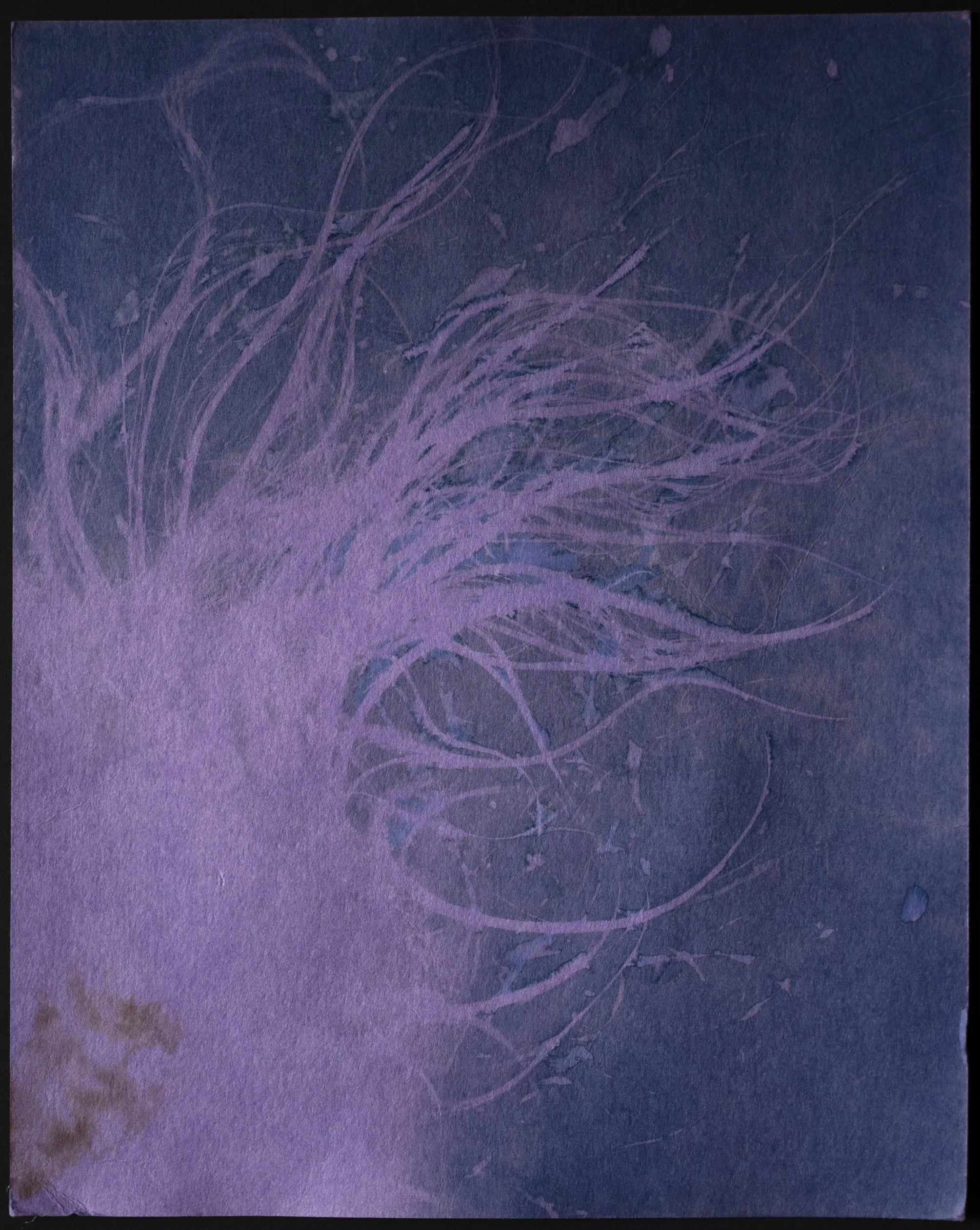 glorify yourself_20260131_0033.jpg