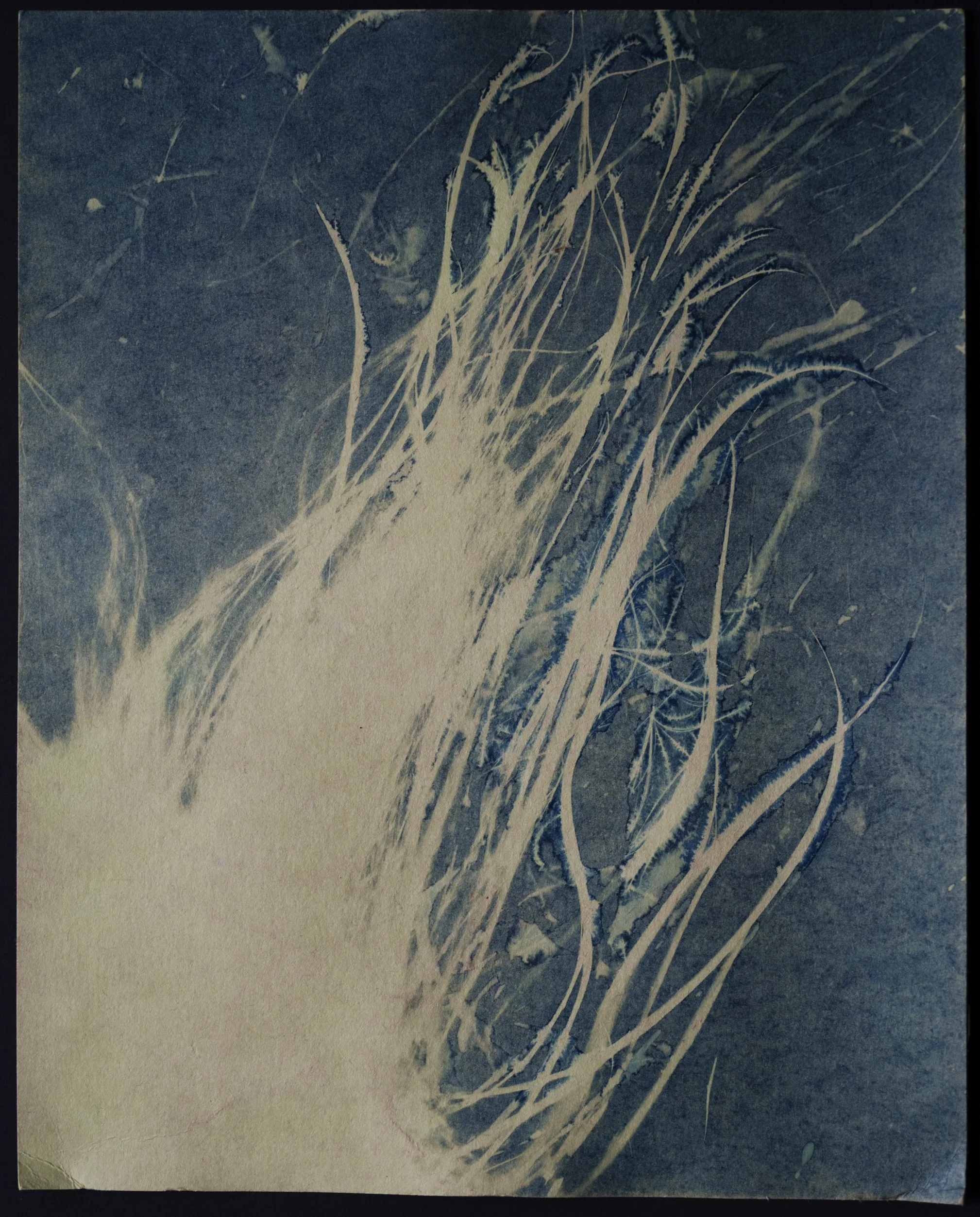 glorify yourself_20260131_0032.jpg