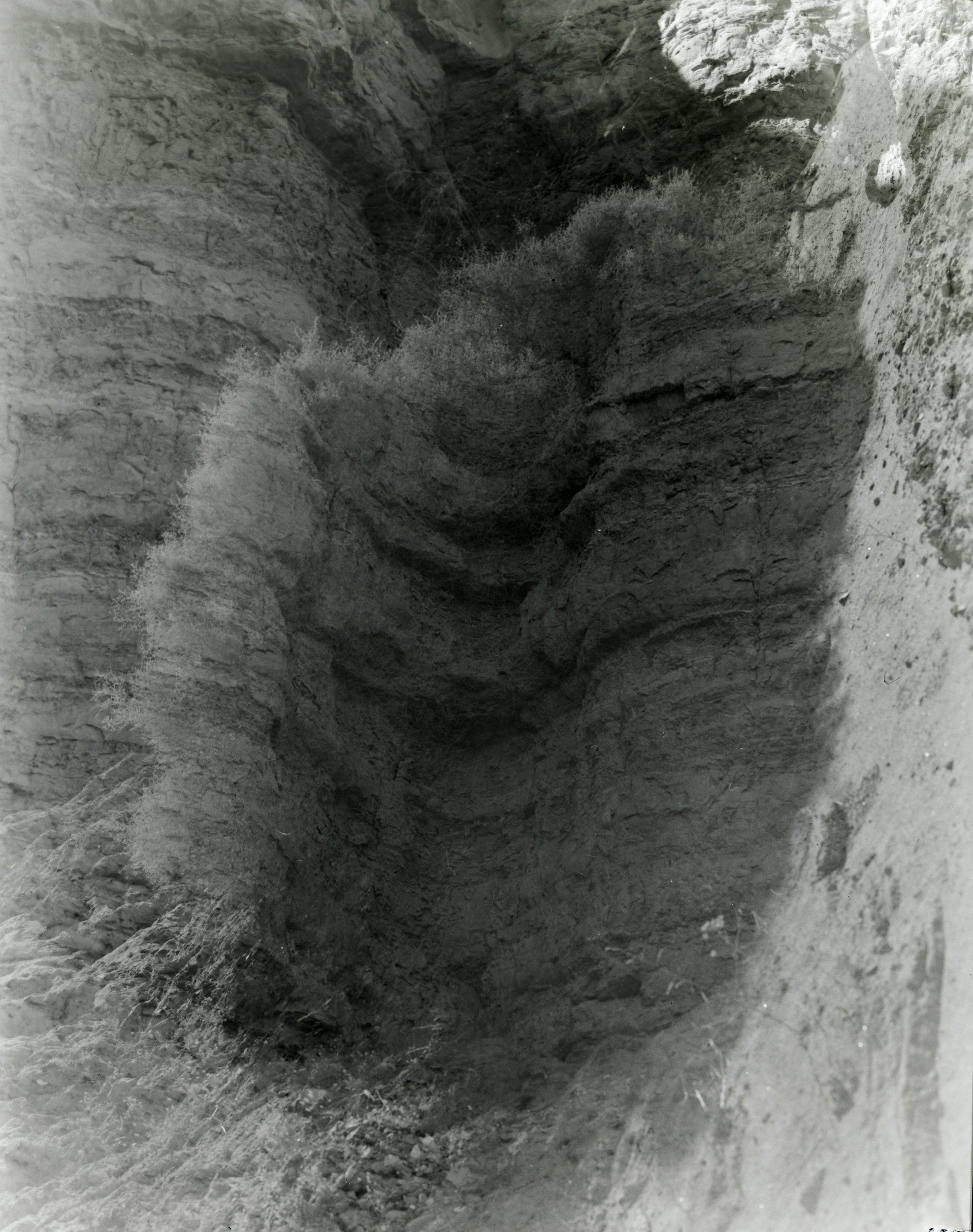 time capsule scans_20260711_1624.jpg