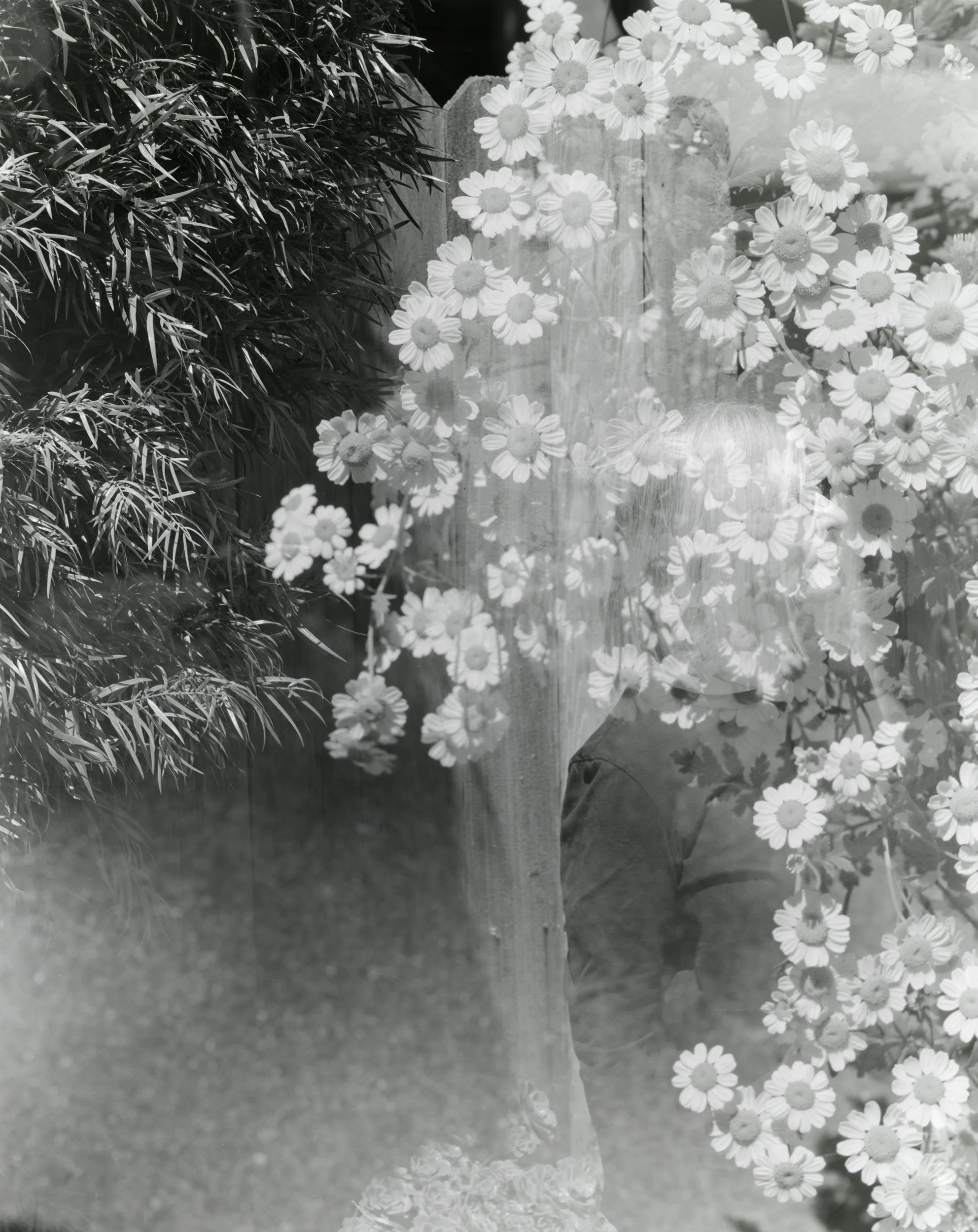 Carolyn Drake 05.jpg