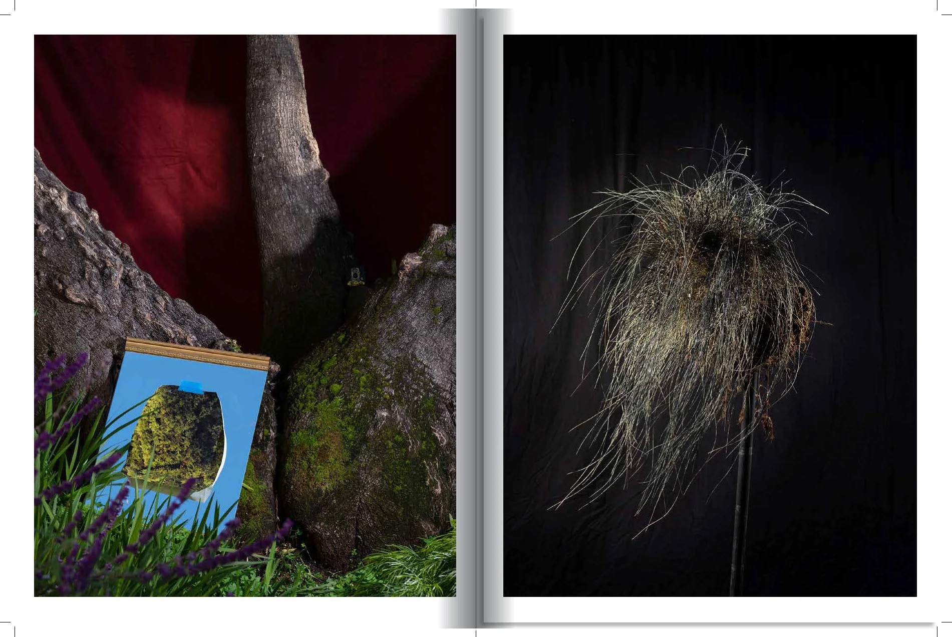 Yard Work 9 cd_Page_29.jpg