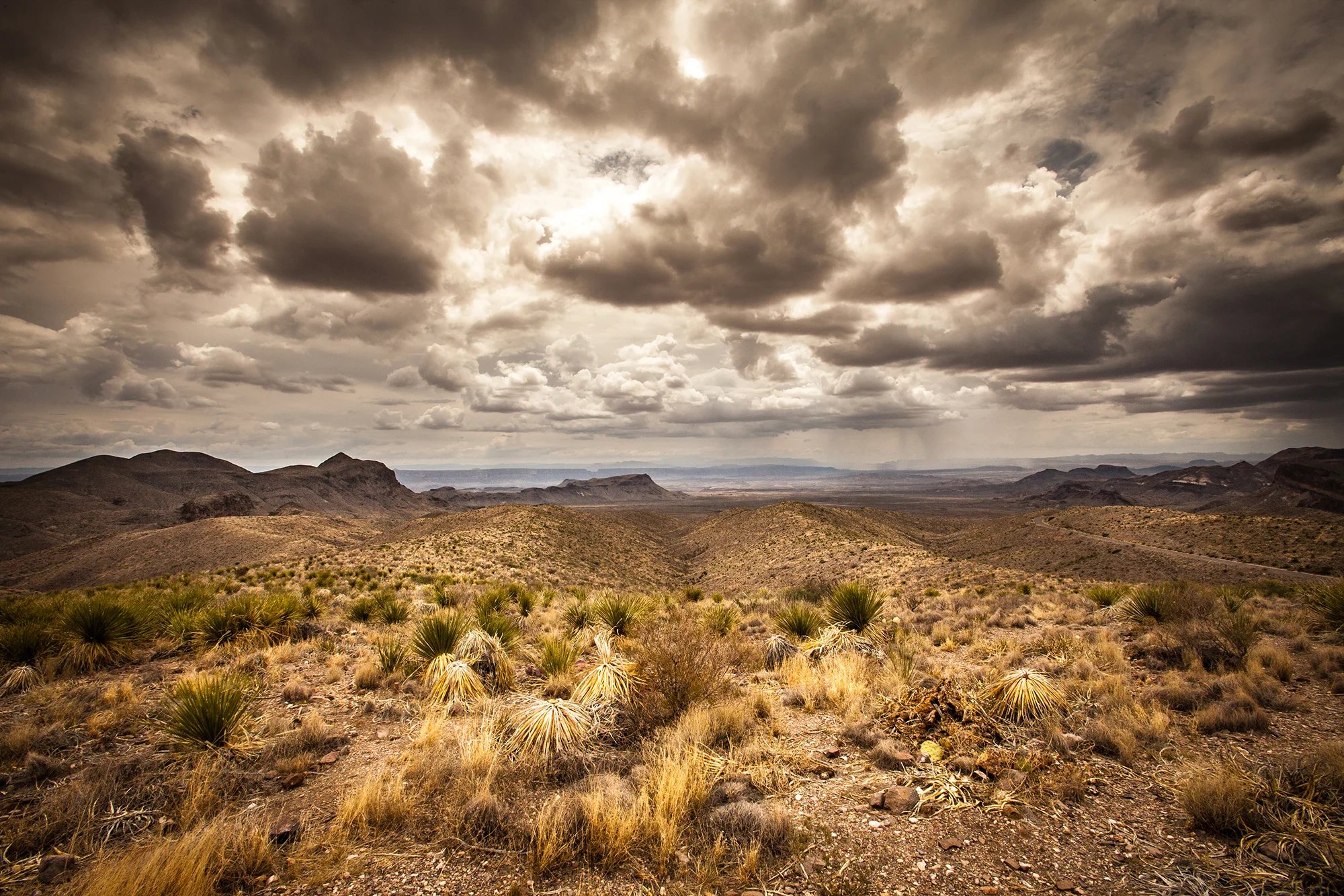 _MG_6888.jpg