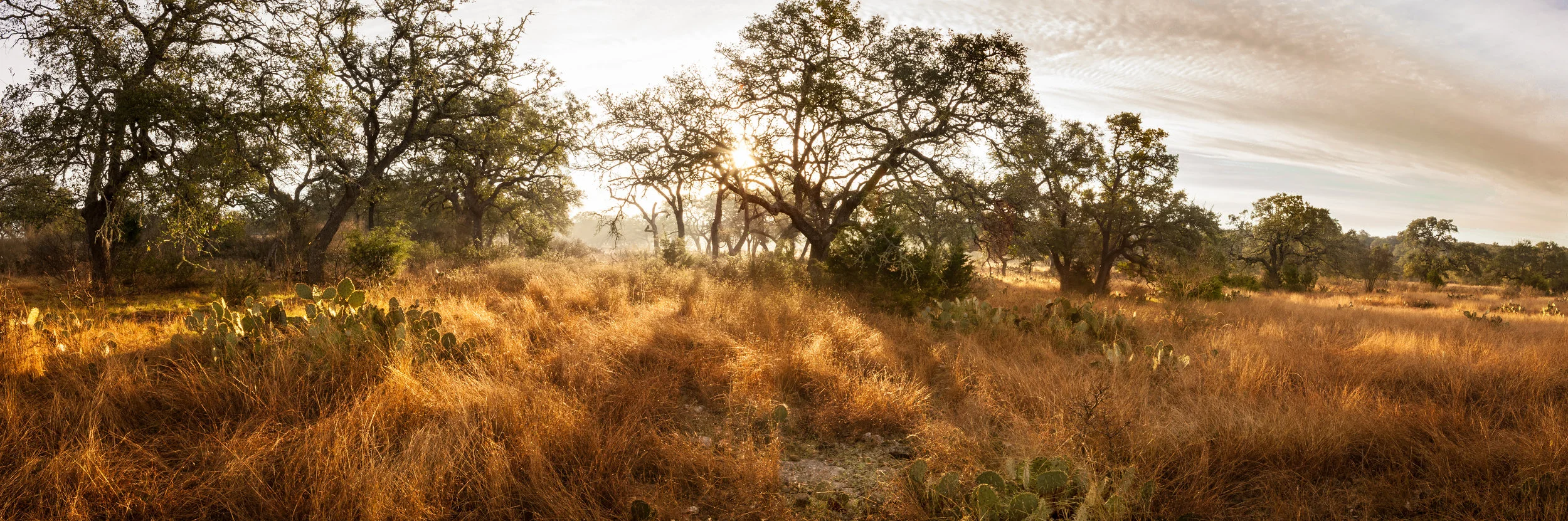 _MG_5851-Pano.jpg