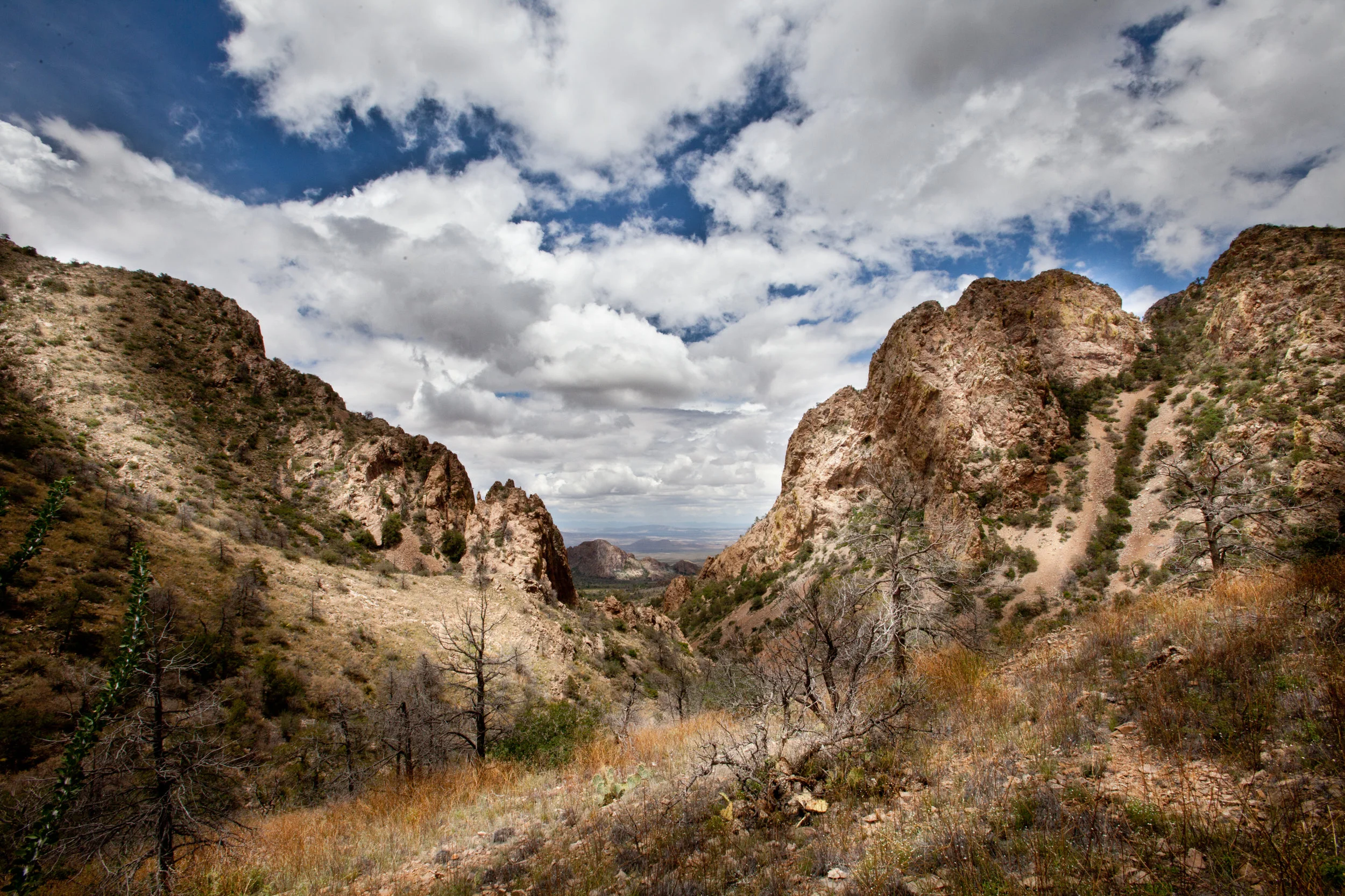 _MG_6871.jpg