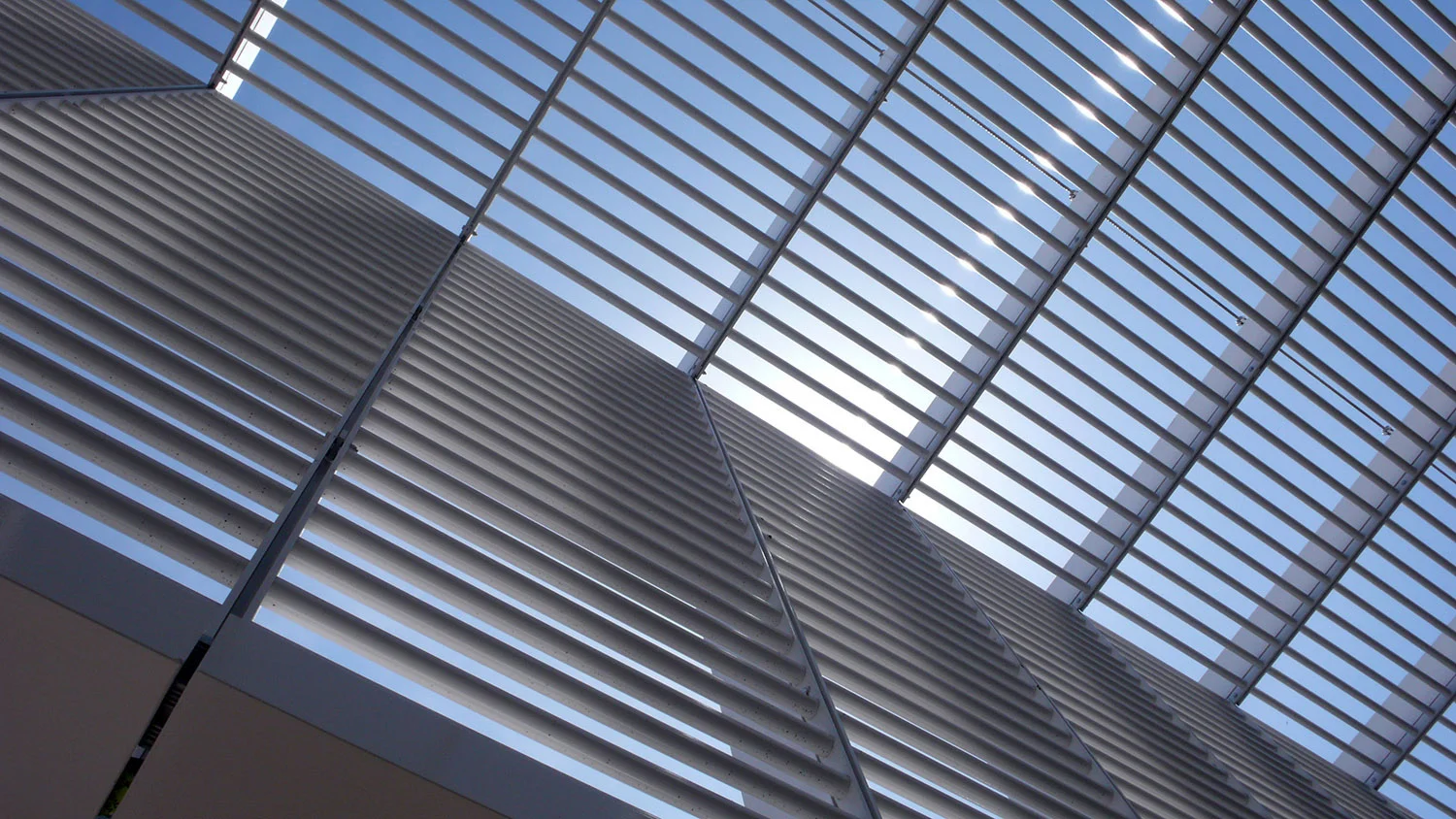 gap-trellis-uplook.jpg