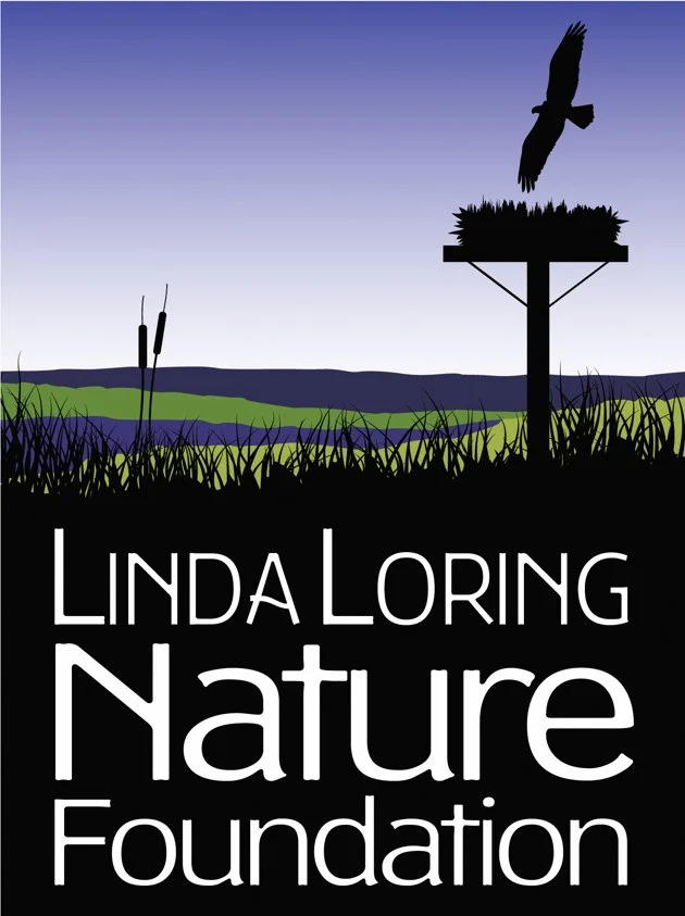 LLNF Logo.jpg