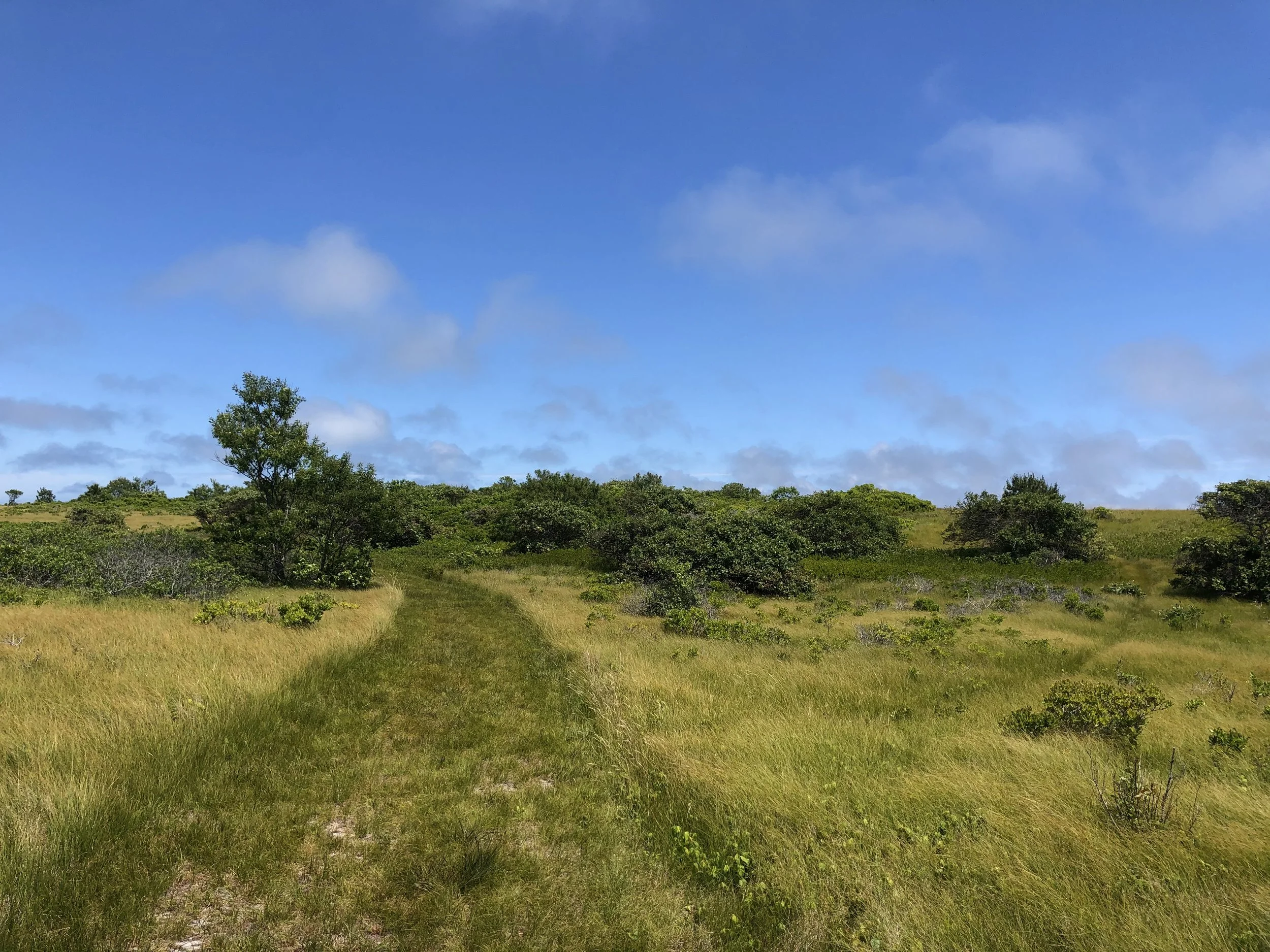 Our Mission | Linda Loring Nature Foundation | Nantucket Research ...
