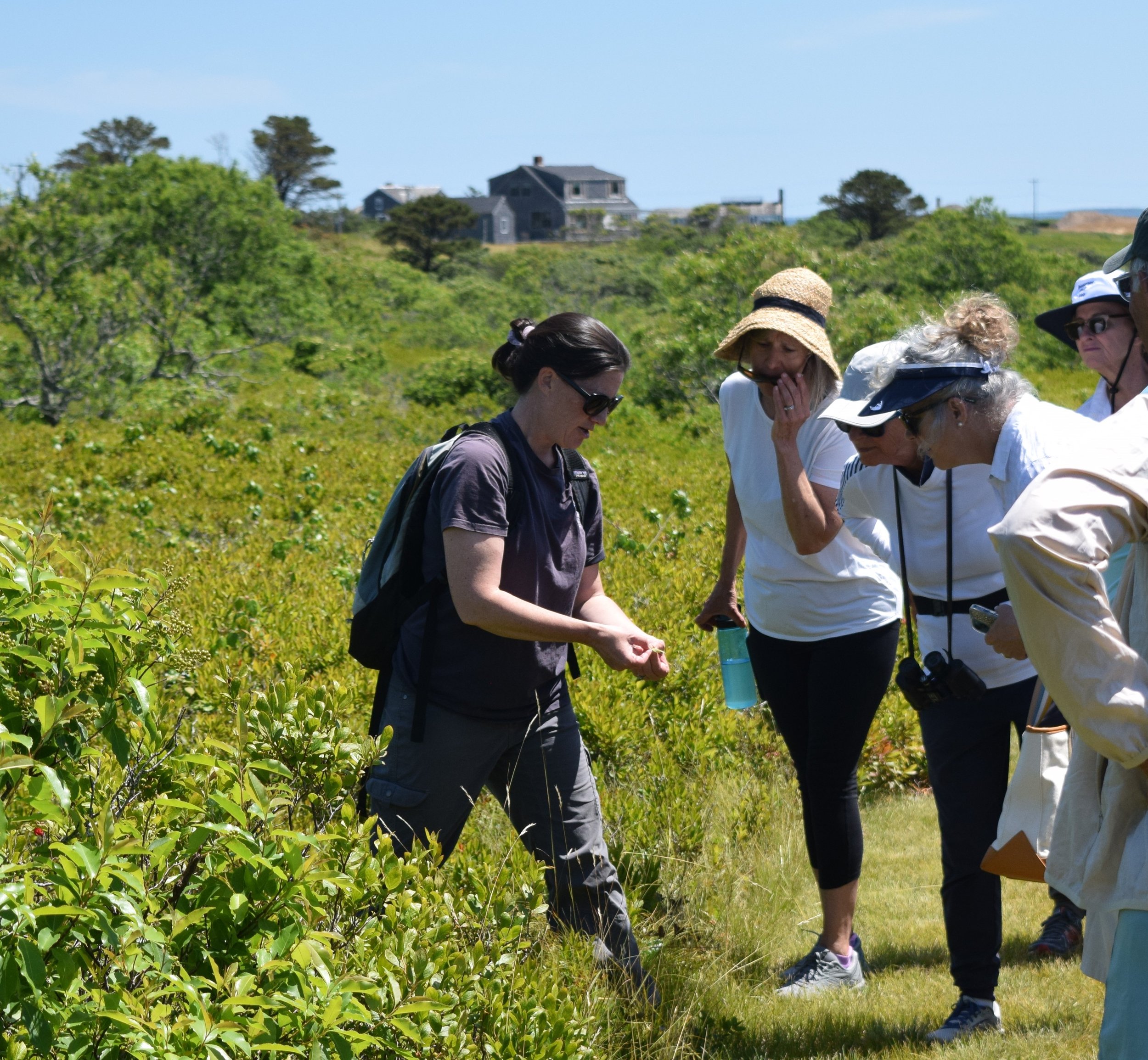 Linda Loring Nature Foundation