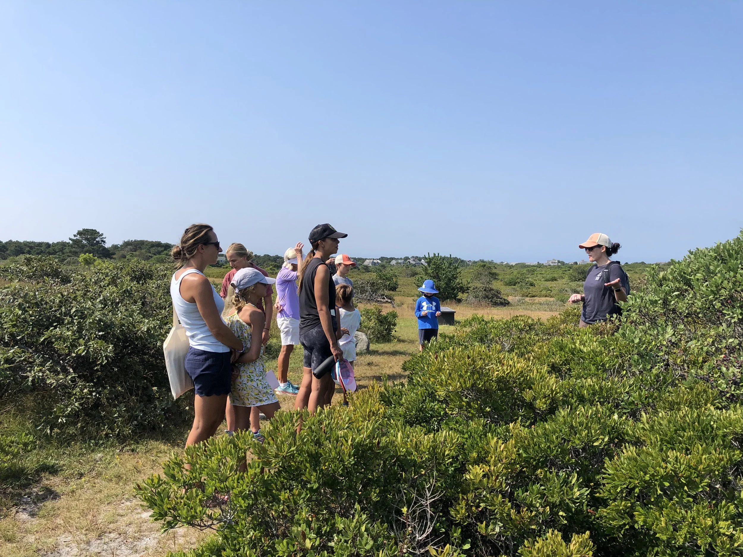 Linda Loring Nature Foundation