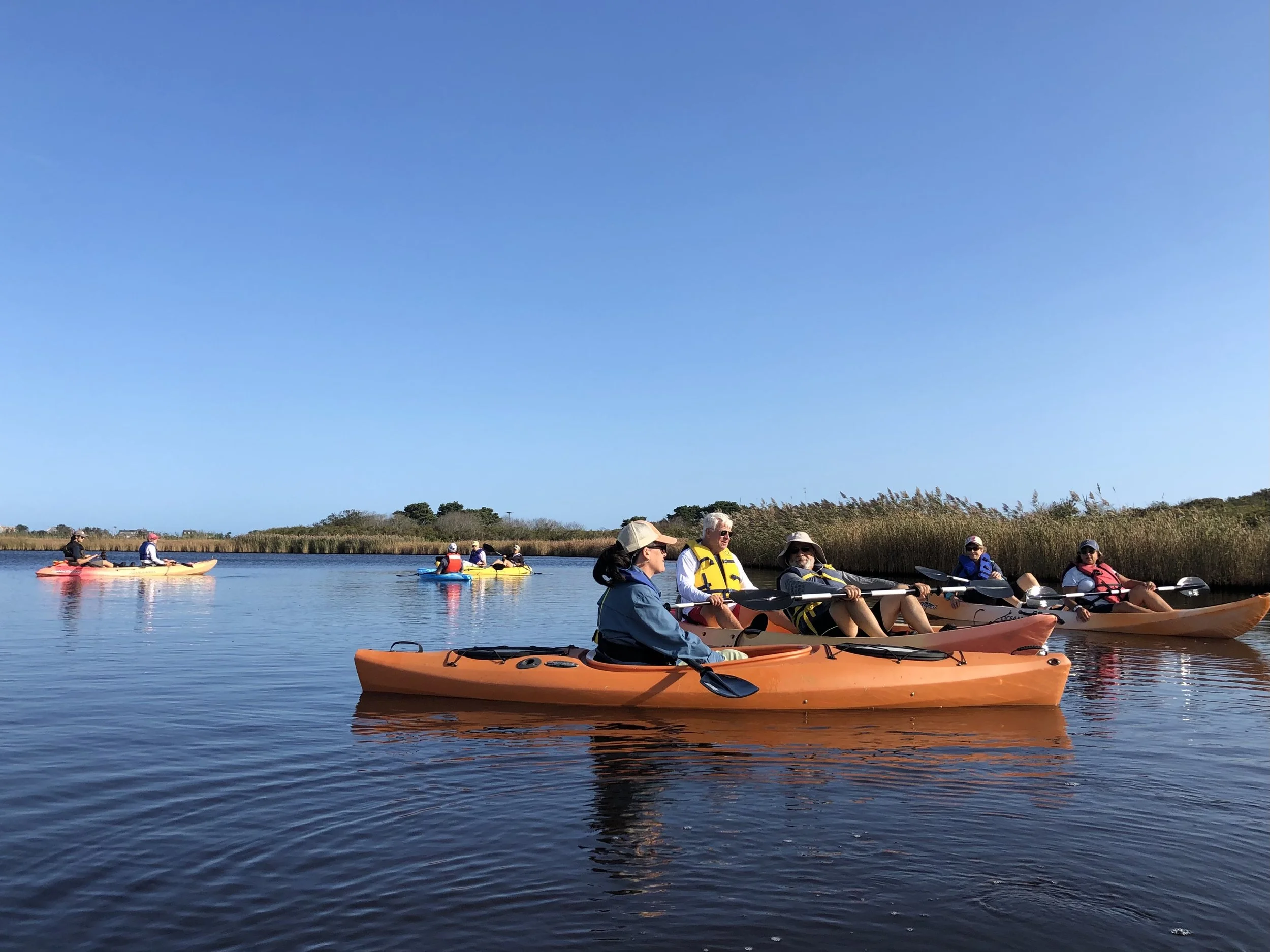 Events with the Linda Loring Nature Foundation Nantucket — Linda Loring