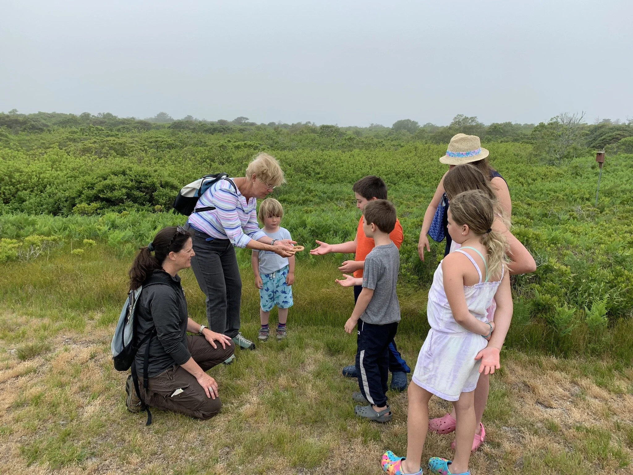 Linda Loring Nature Foundation