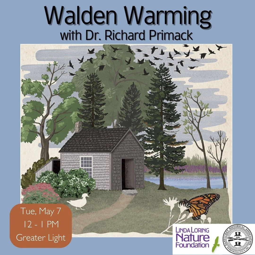 Linda Loring Nature Foundation