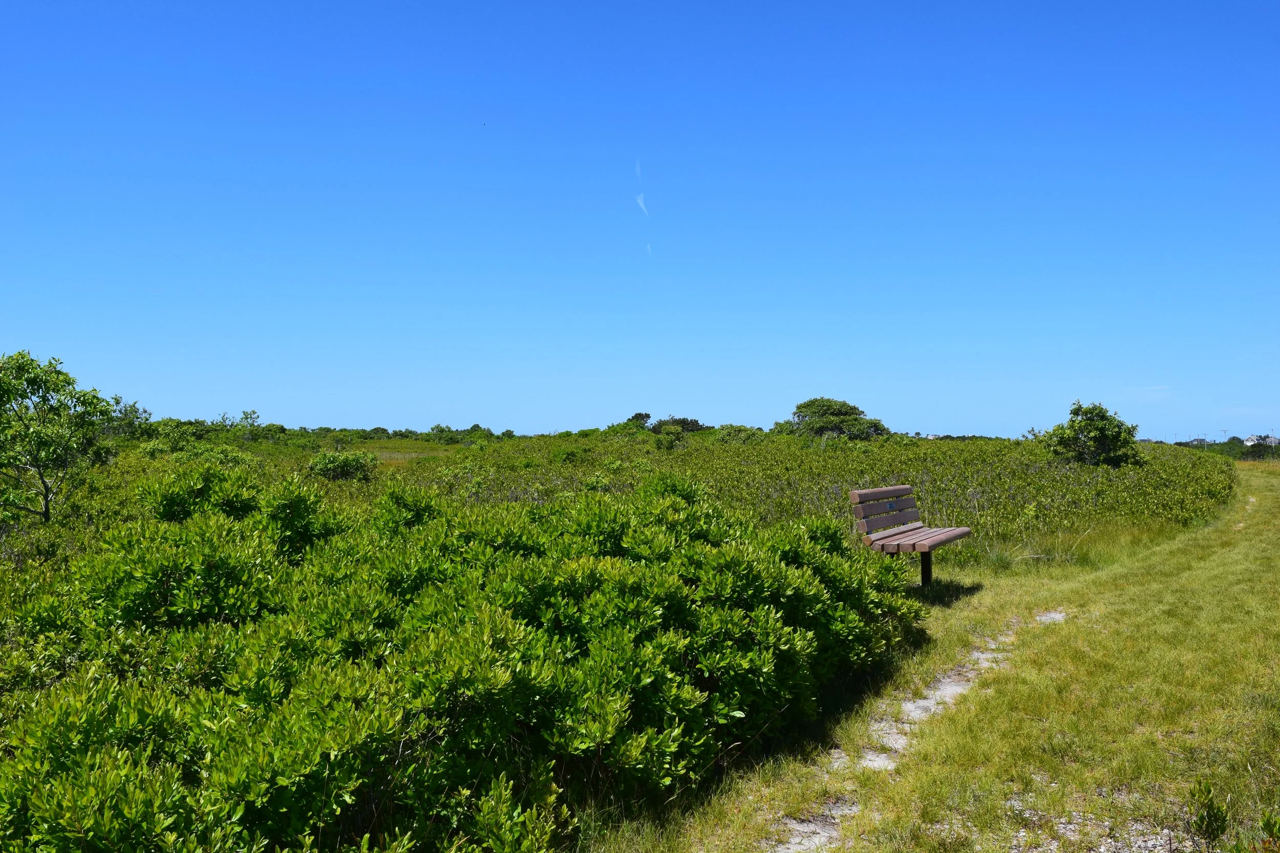 Events and Public Programs with the Linda Loring Nature Foundation ...