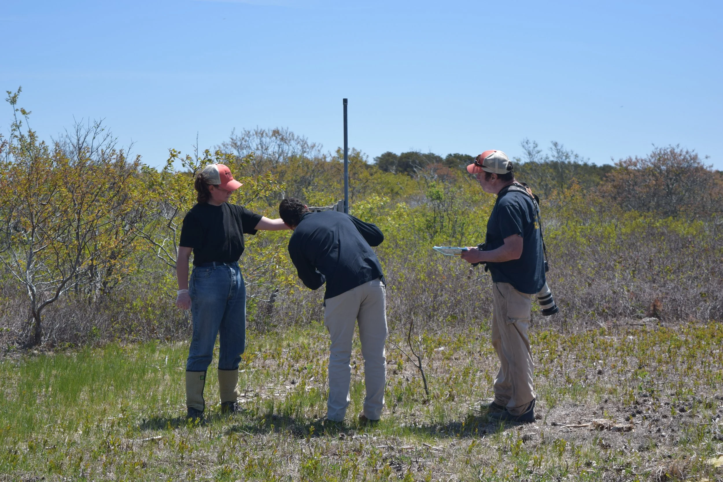 Guided nature walk on Nantucket Island — Linda Loring Nature Foundation