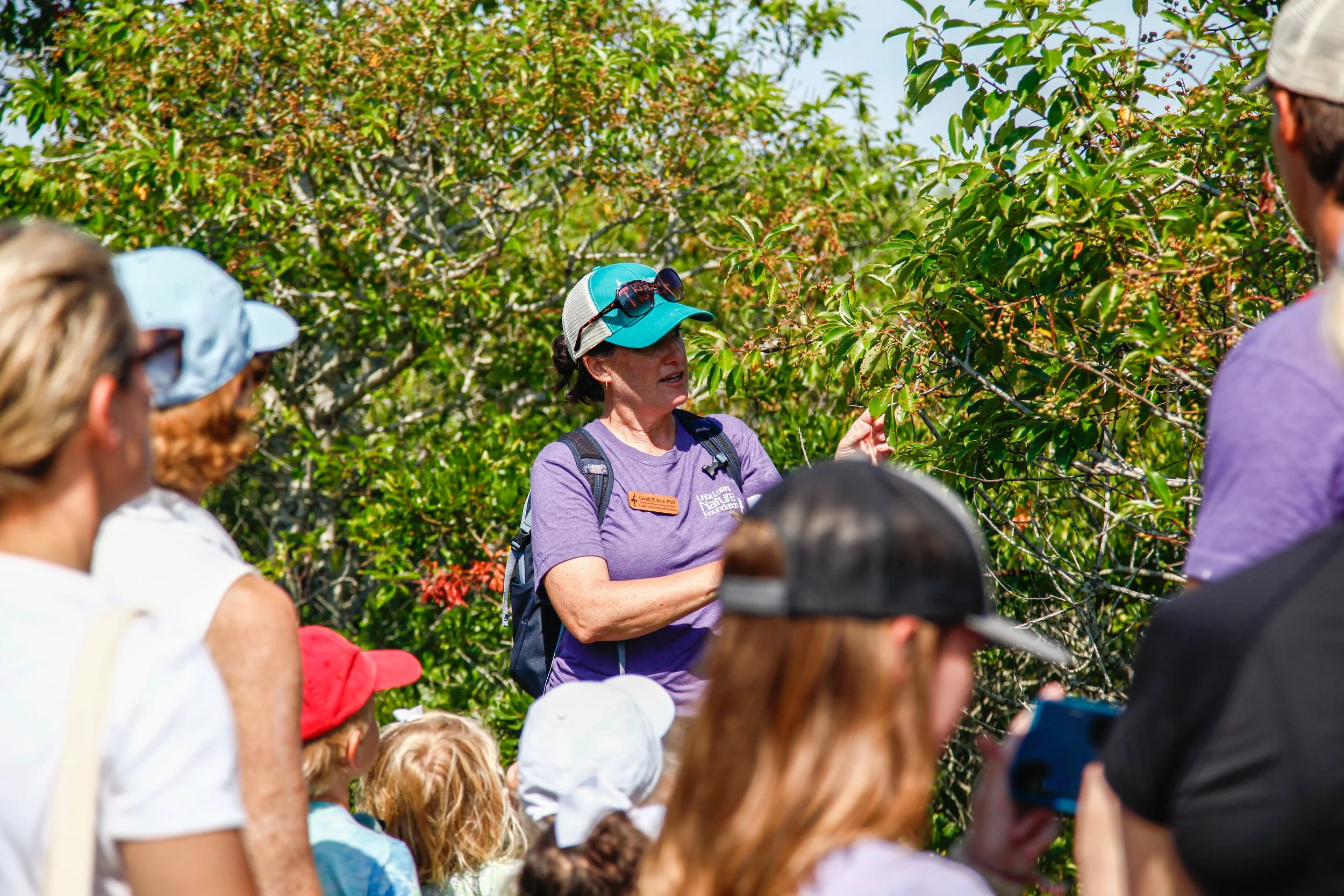 Linda Loring Nature Foundation