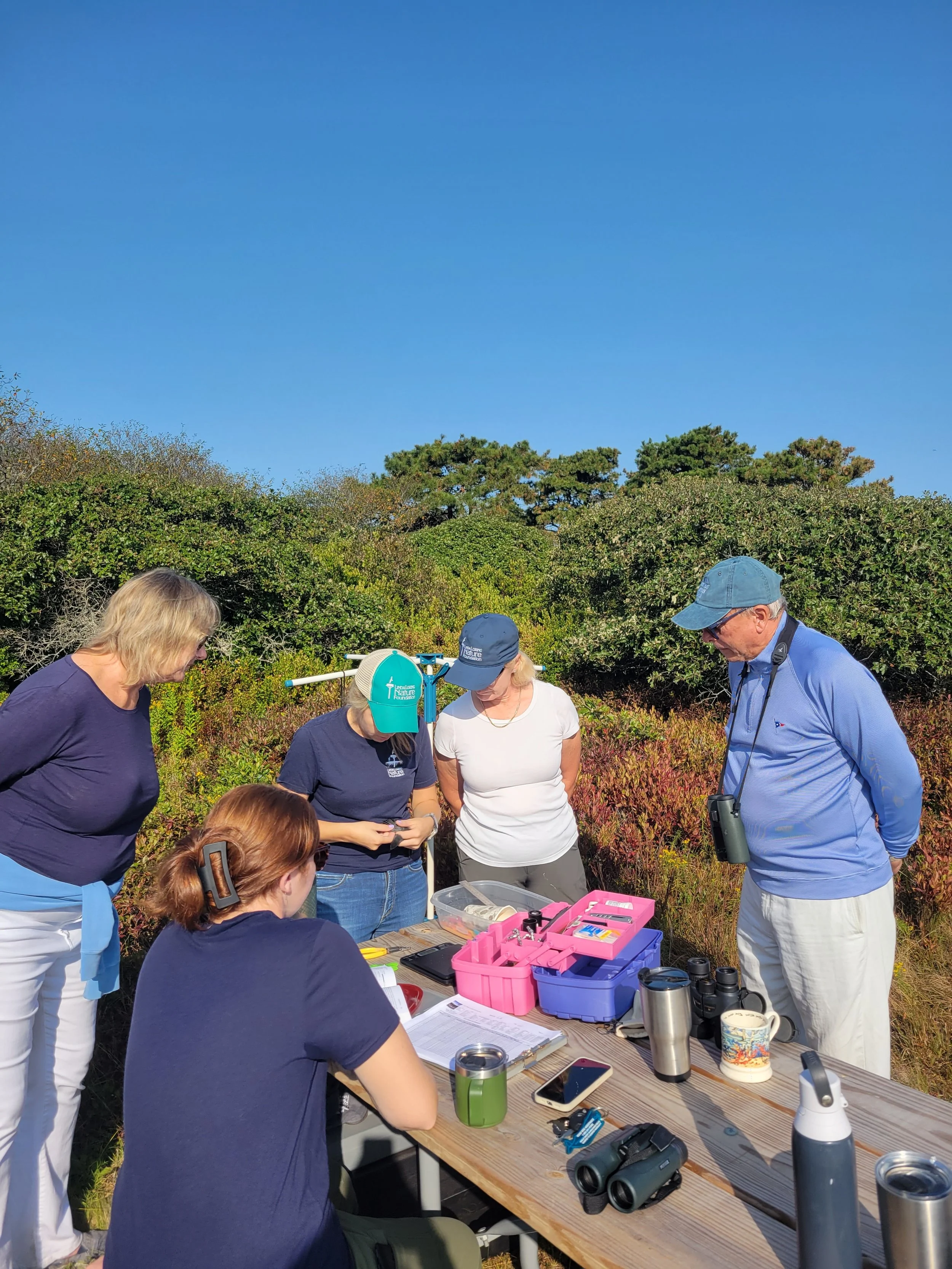 Bird Banding