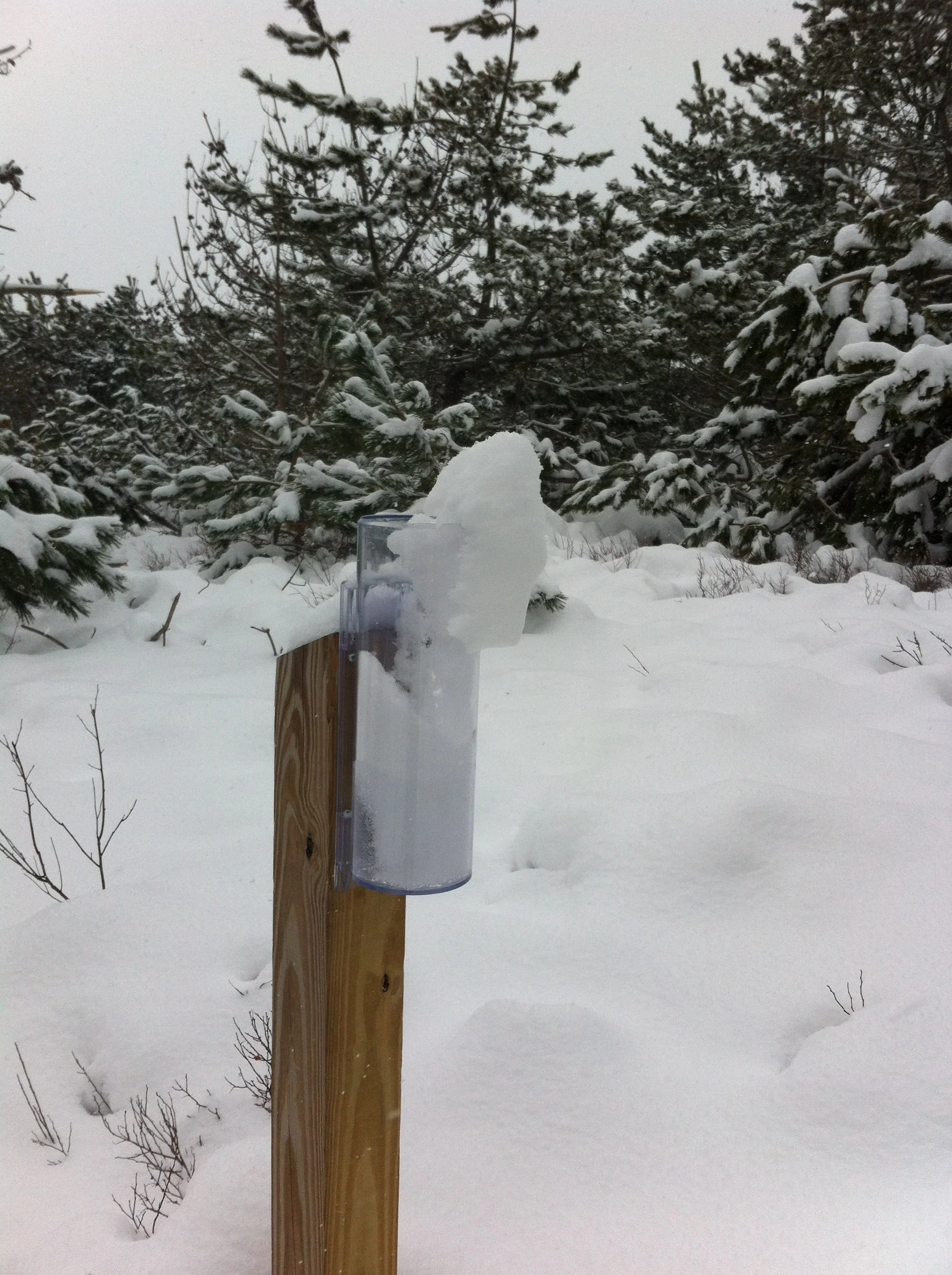 2015-02-17 13.26.27.jpg