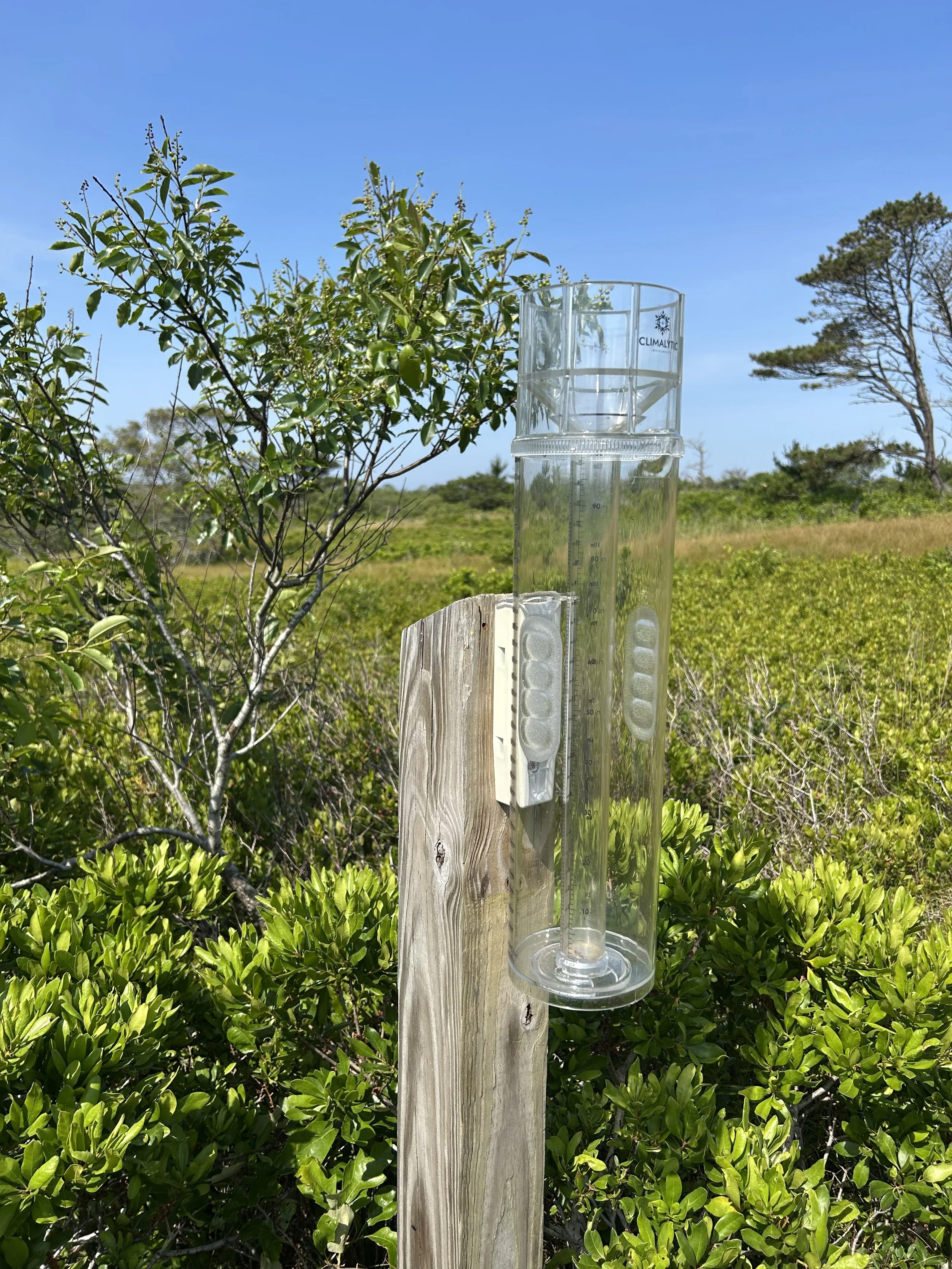 LLNF COCORAHS station.jpg