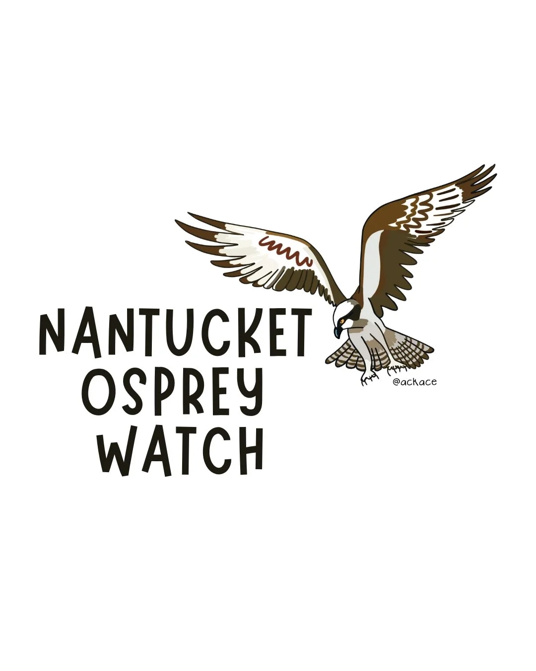 2026 Nantucket Osprey Watch Training