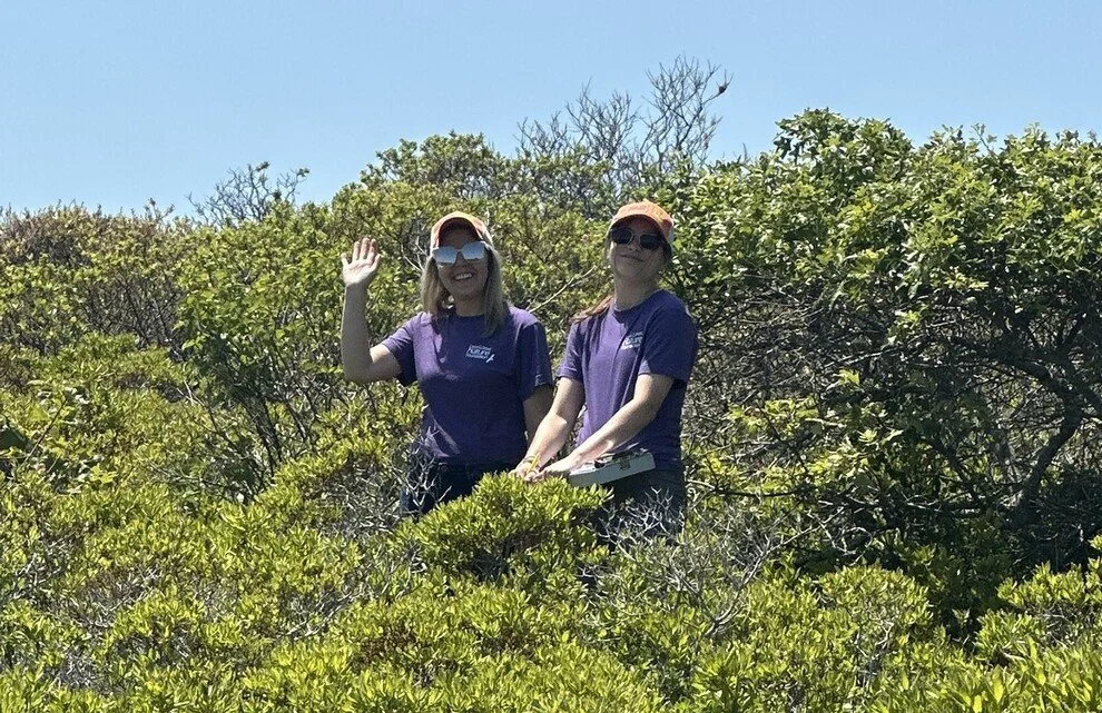 Current Nature: Nature's Calendar On Nantucket