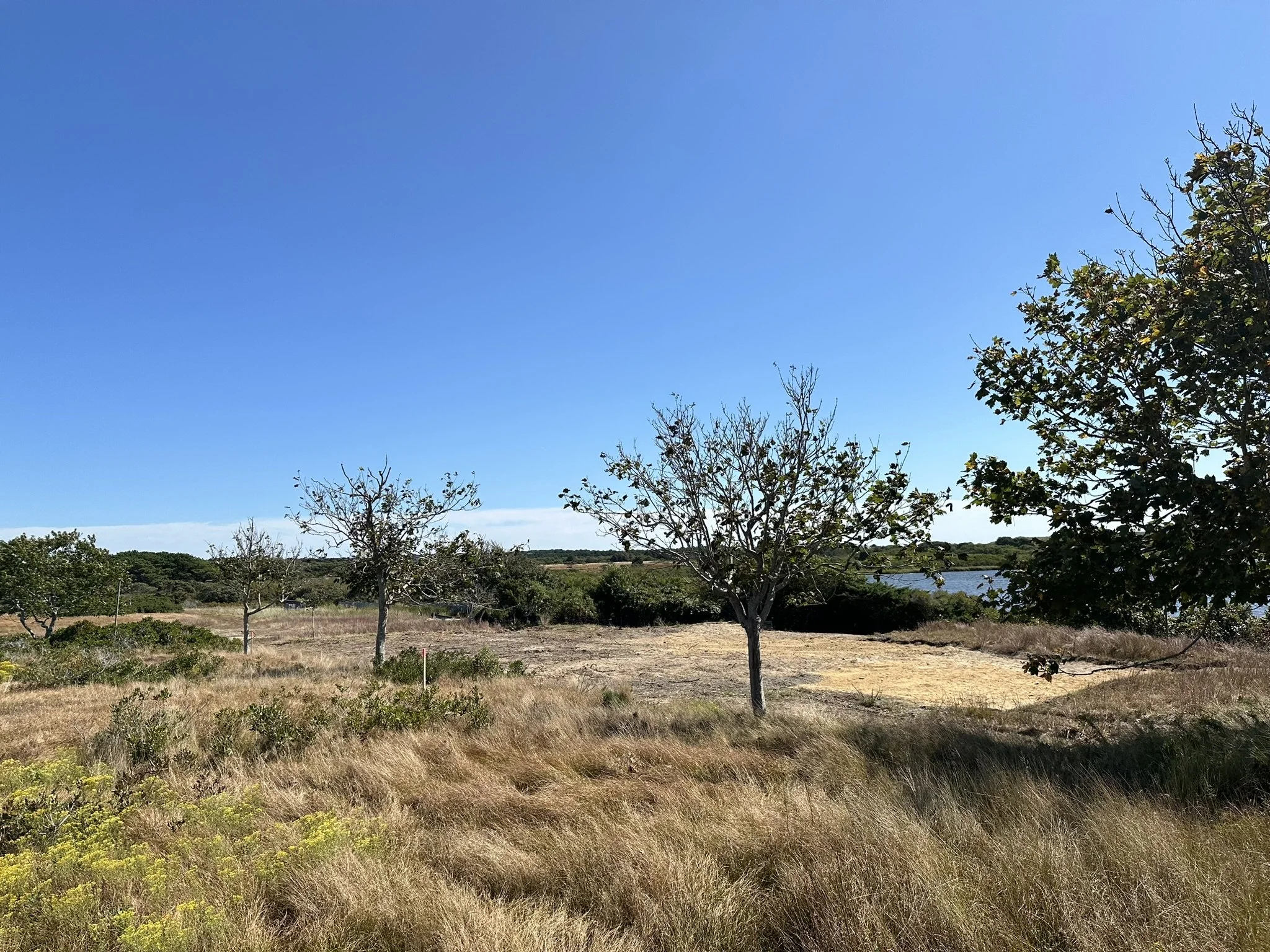 Guided Nature Walk - Restoration and Resilience at LLNF