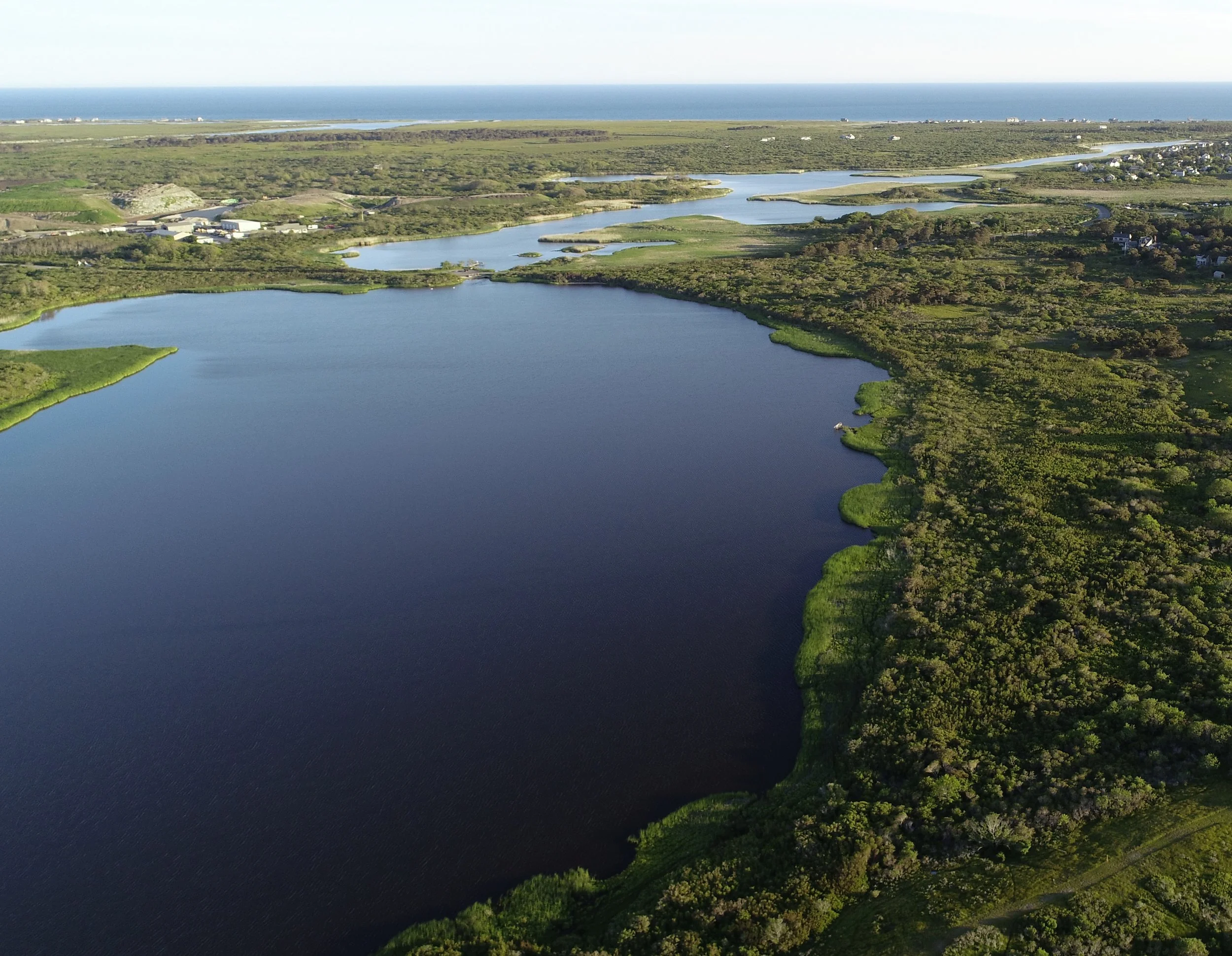 Guided Nature Walk - Climate Change Impacts at LLNF