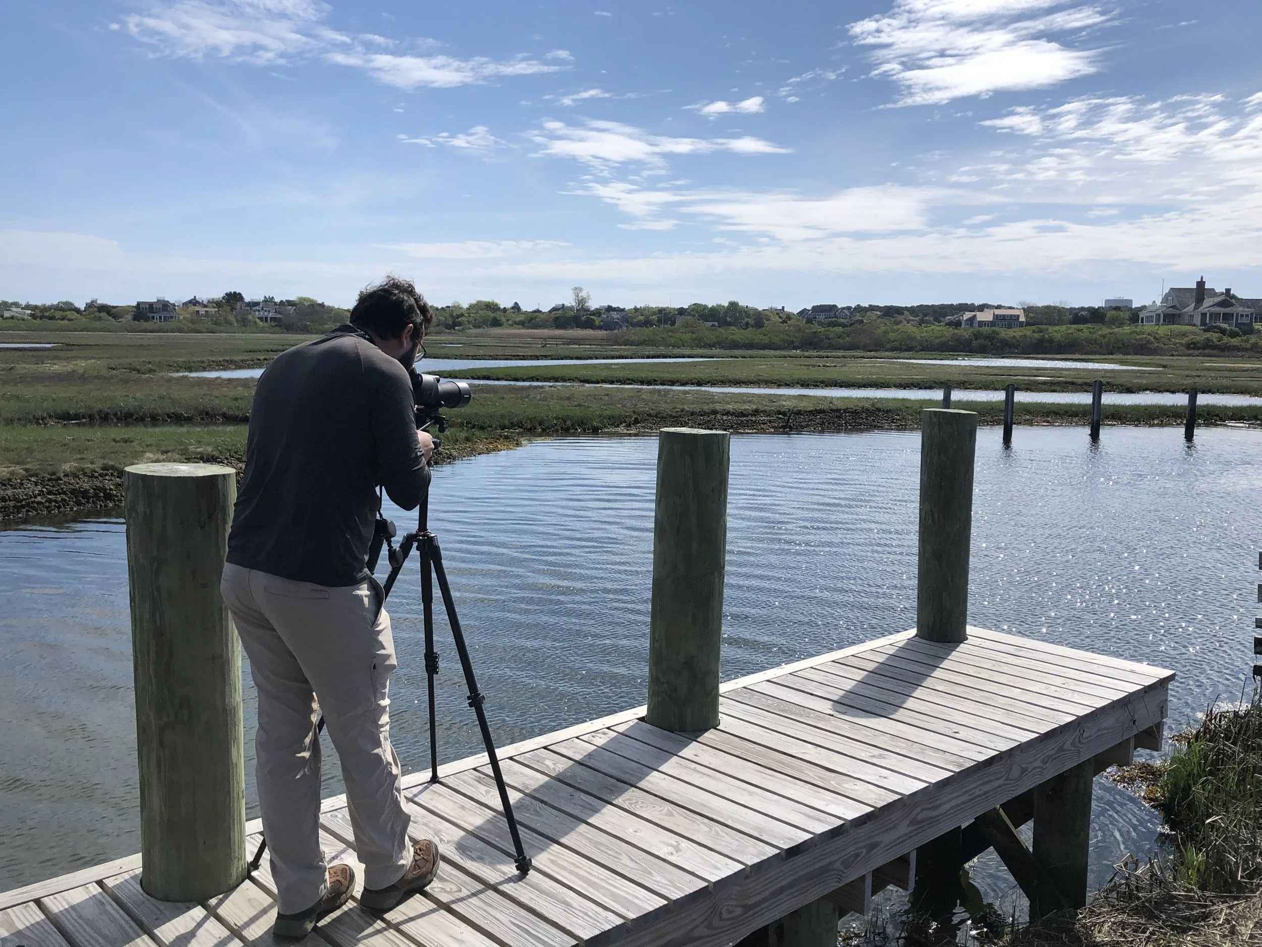 Birding Field Trip — Linda Loring Nature Foundation