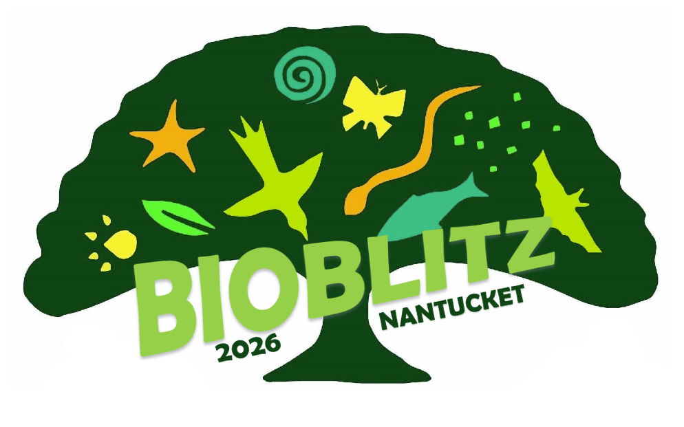2026 BioBlitz Wrap-Up Party