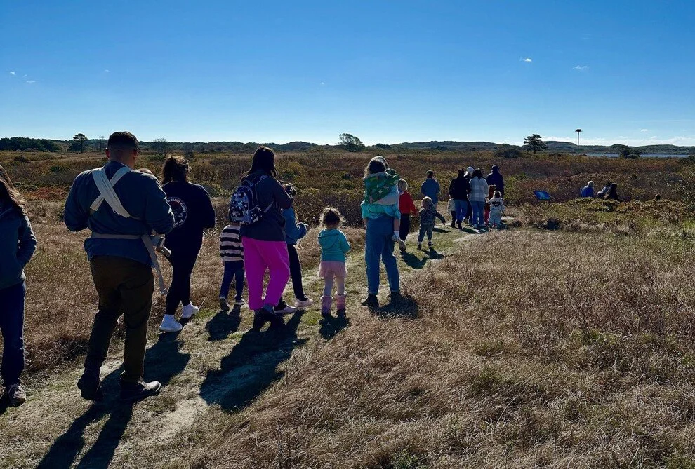 Current Nature: Find Your Place In Nature