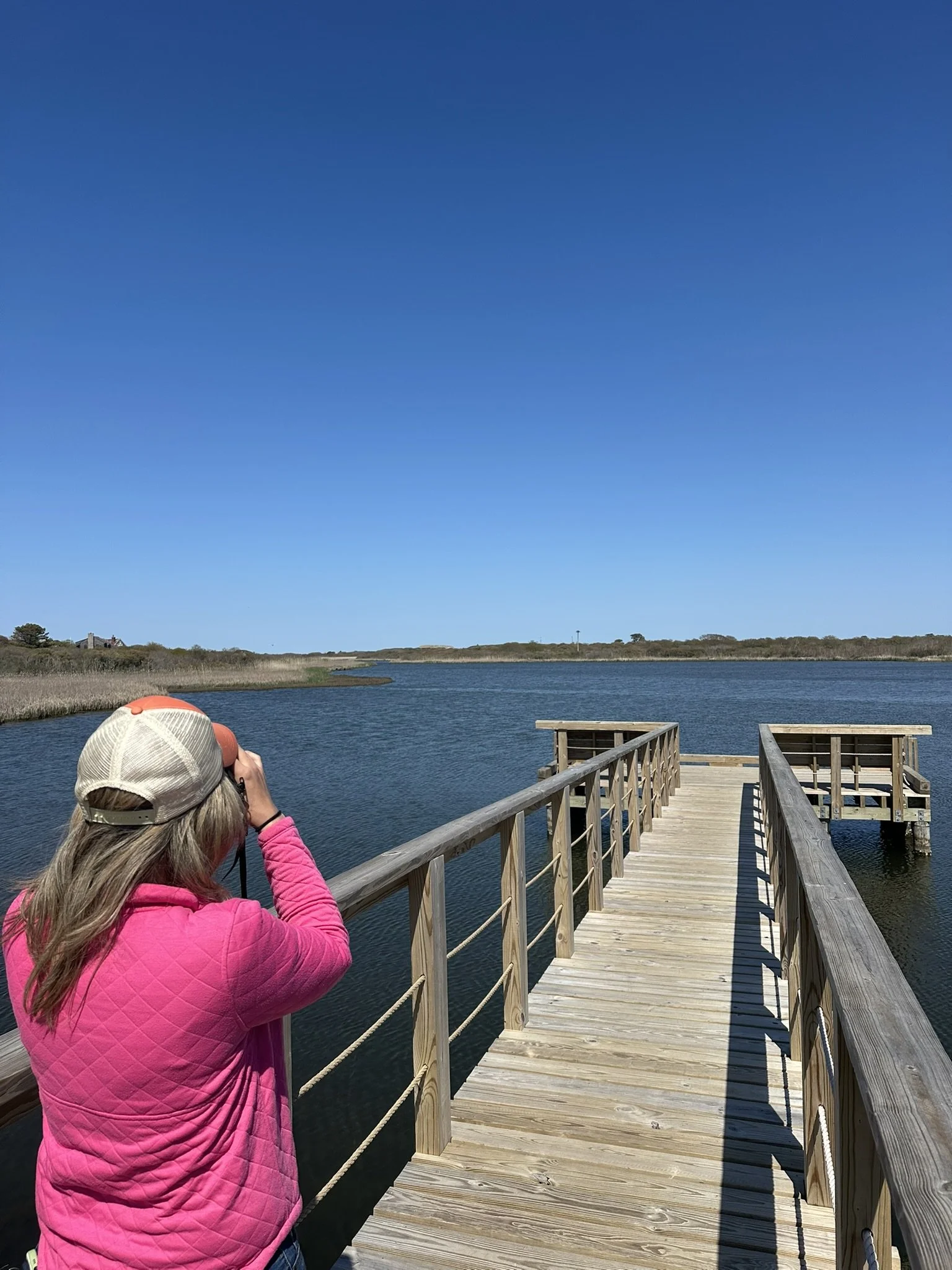 Birding Field Trip 