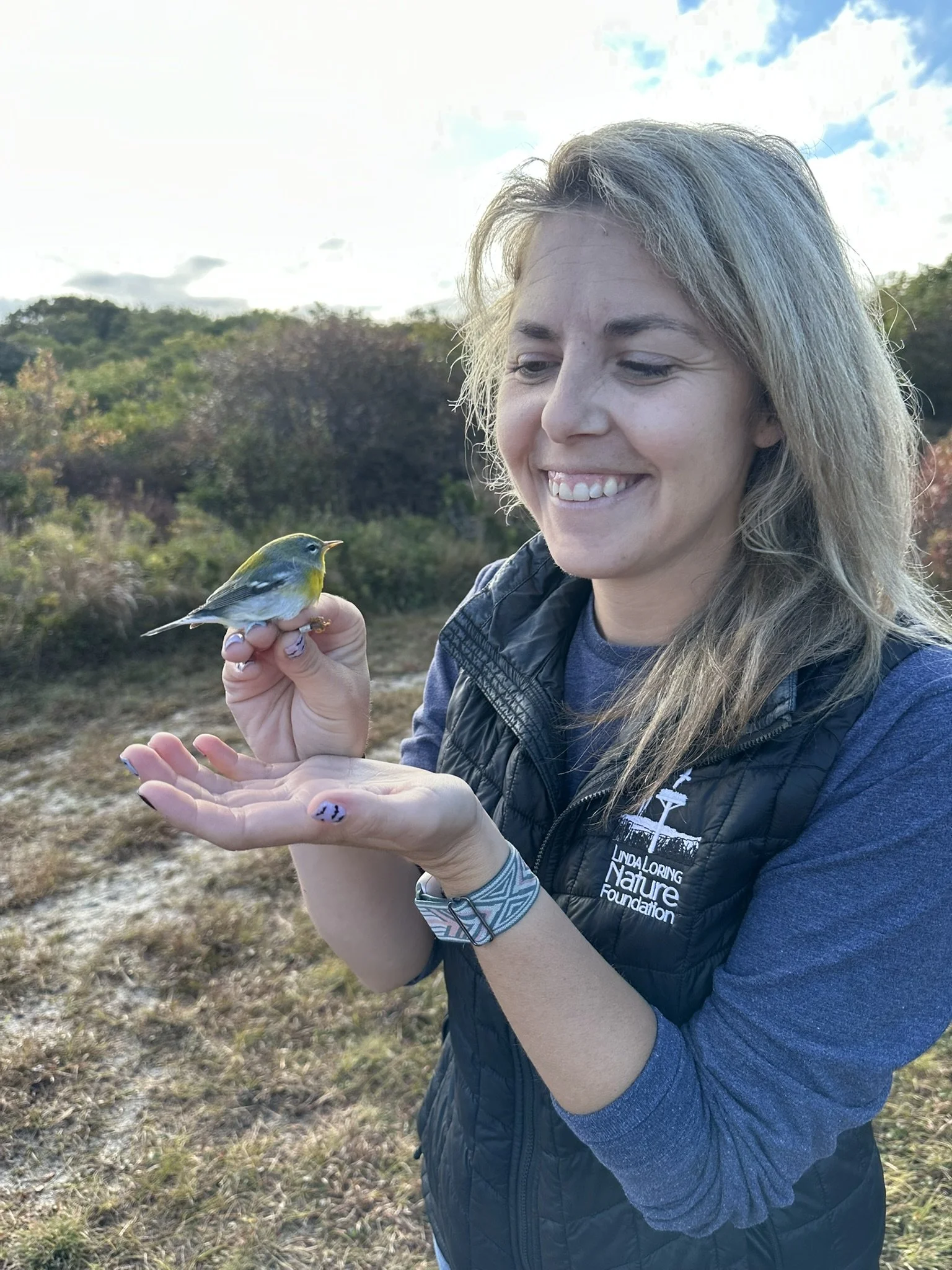 Bird Banding