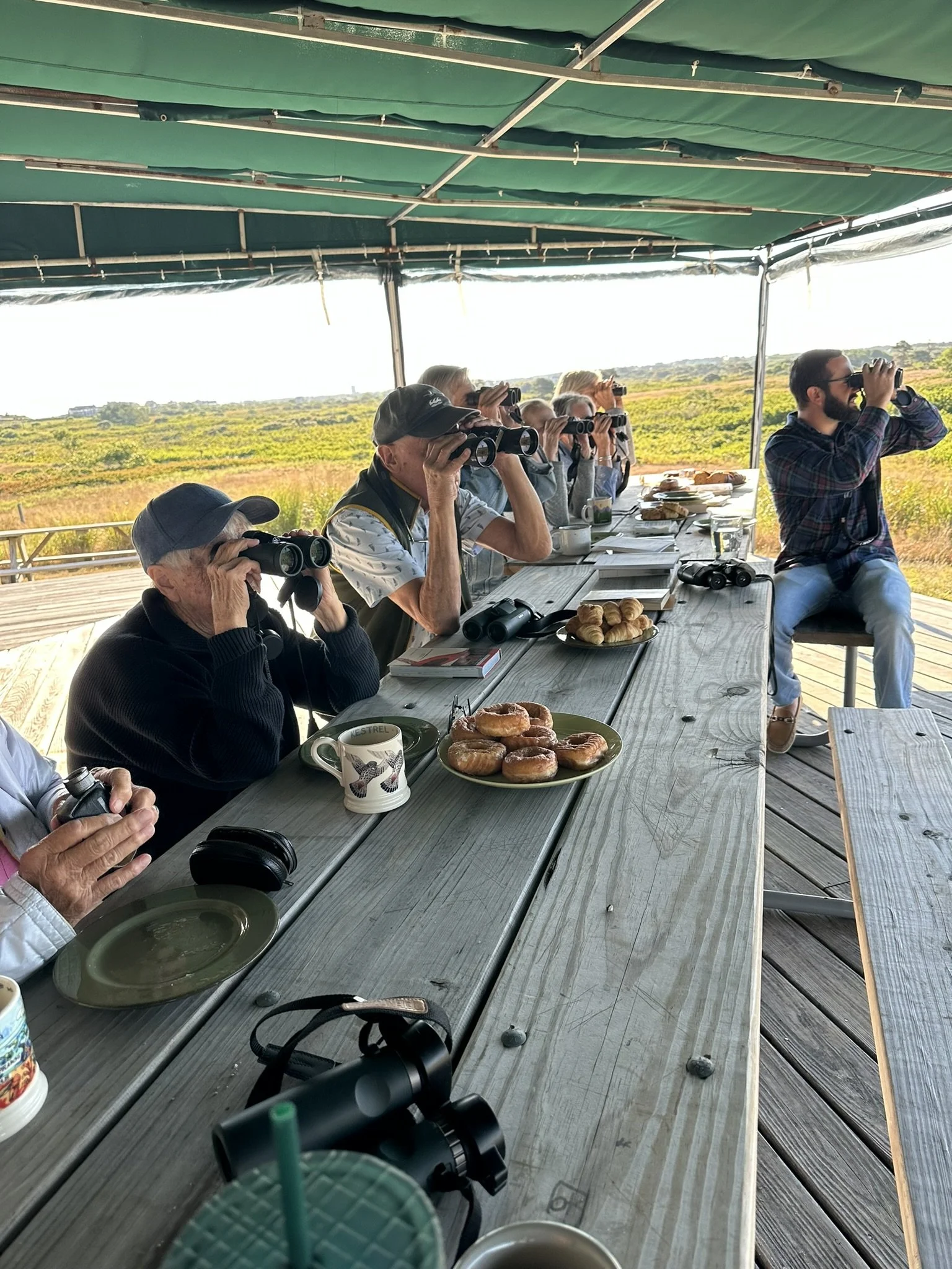 Big Sit Birding