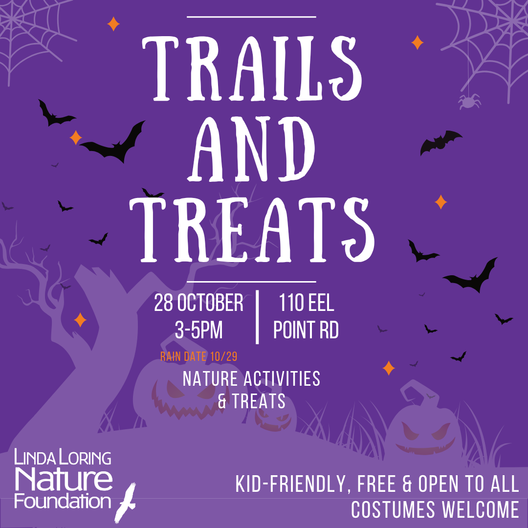 Trails and Treats