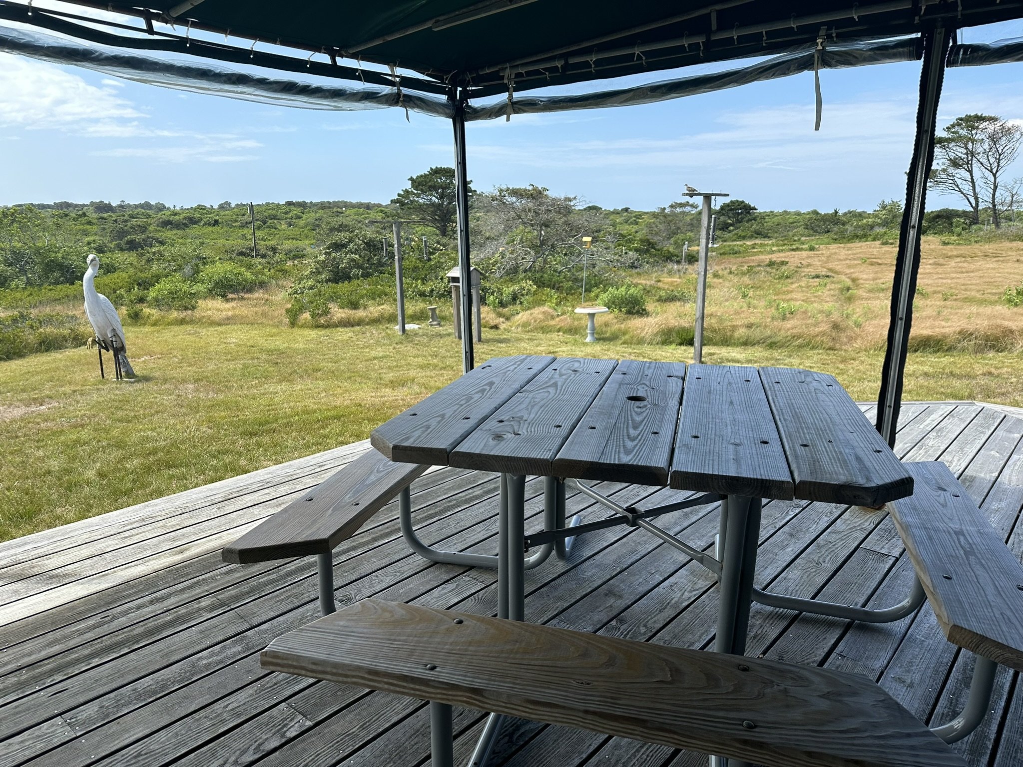 Table and feeders