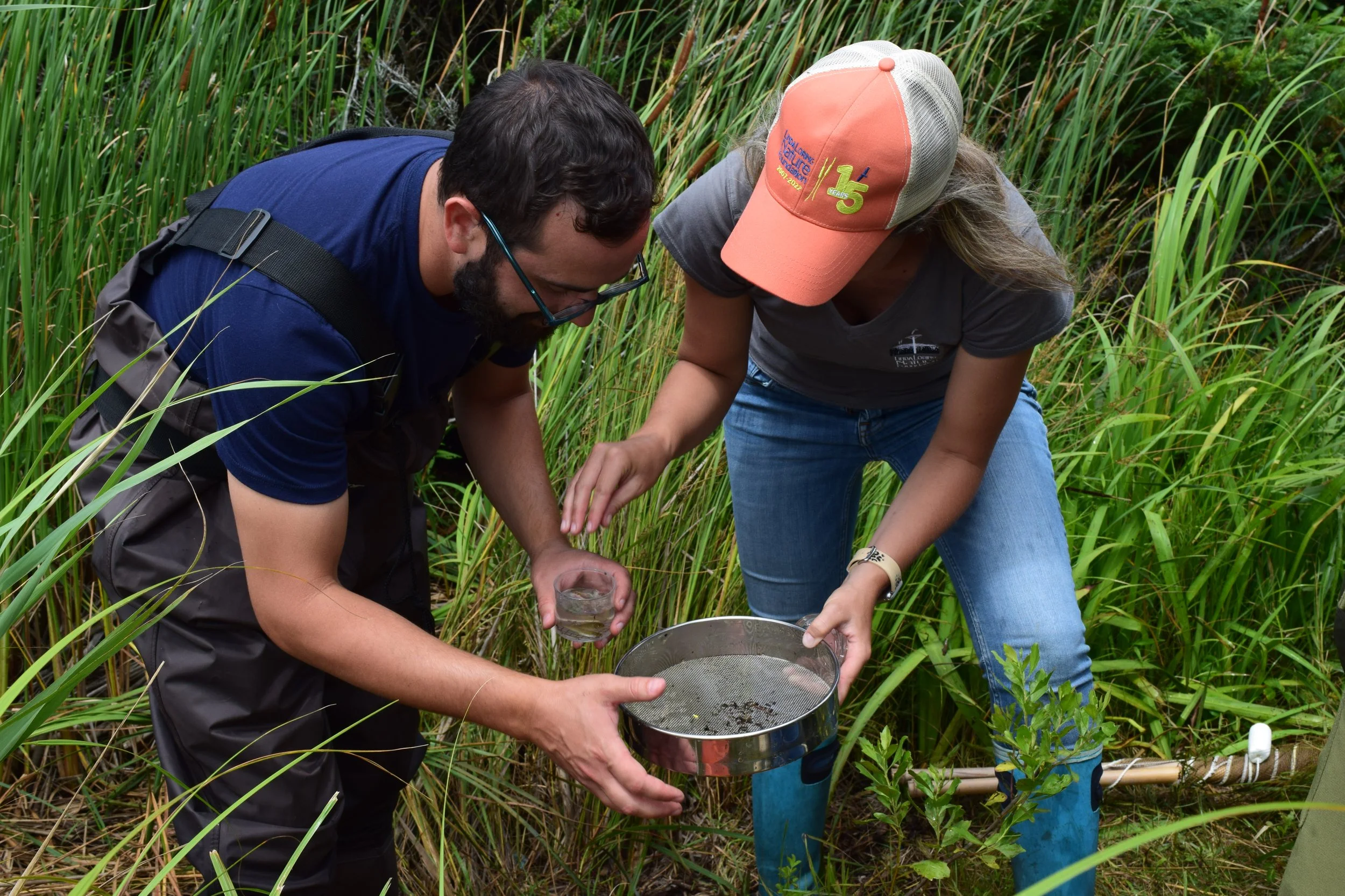 Support the Linda Loring Nature Foundation — Linda Loring Nature Foundation