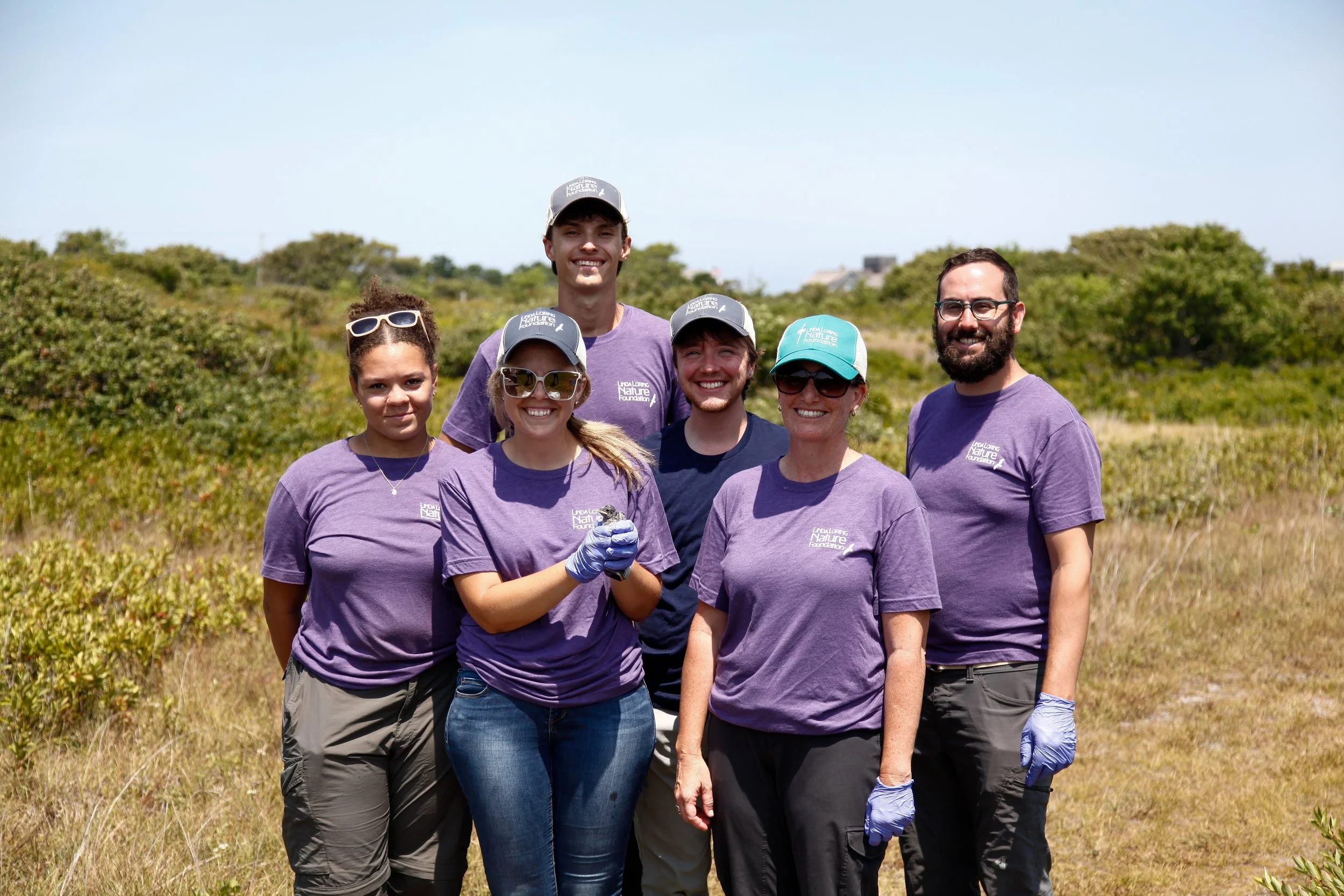 Purple Martin Conservation Milestone at Linda Loring Nature Foundation ...
